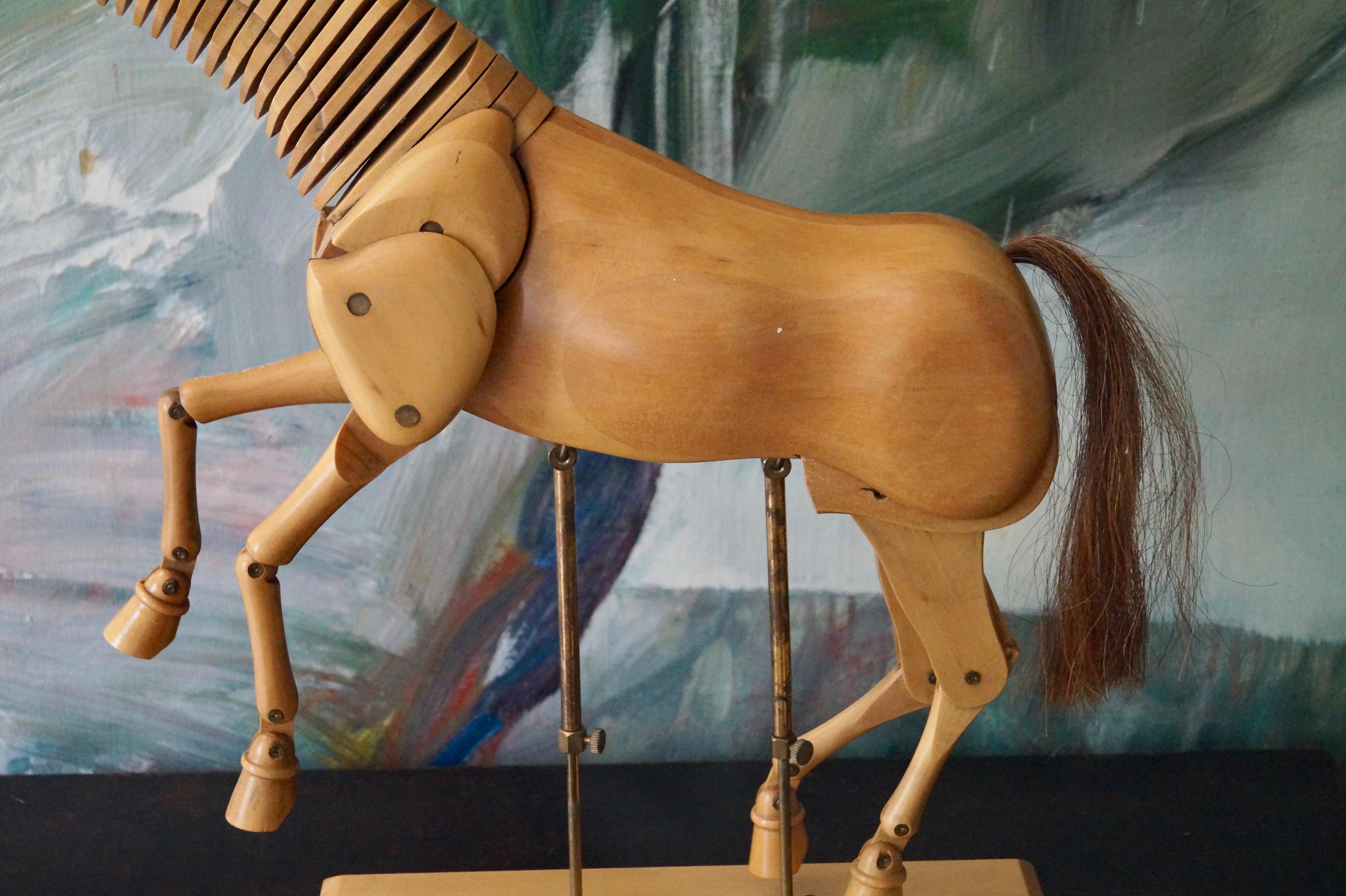 Well sought after artist's lay figure of a carved wooden horse. Possible in multiple ways. It creates a lot of interest and a nice conversation piece.

Width 45 cm
Depth 15 cm
Height 50 cm.
 