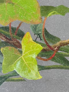 Cherokee Rose Bouquet Natchez, Mississippi