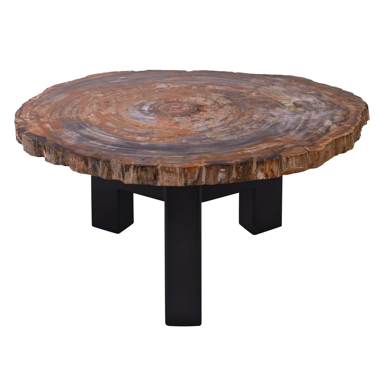 Extraordinary table incorporating a polished fossilized wood top with jewel tones on a black steel base by Ado Chale, Belgium 1960's. There are hidden wheels at the bottom of the legs so it is easy to move. This can be used as a coffee table or side
