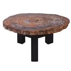 Ado Chale Table à plateau en bois fossilisé, rare et iconique, années 1960