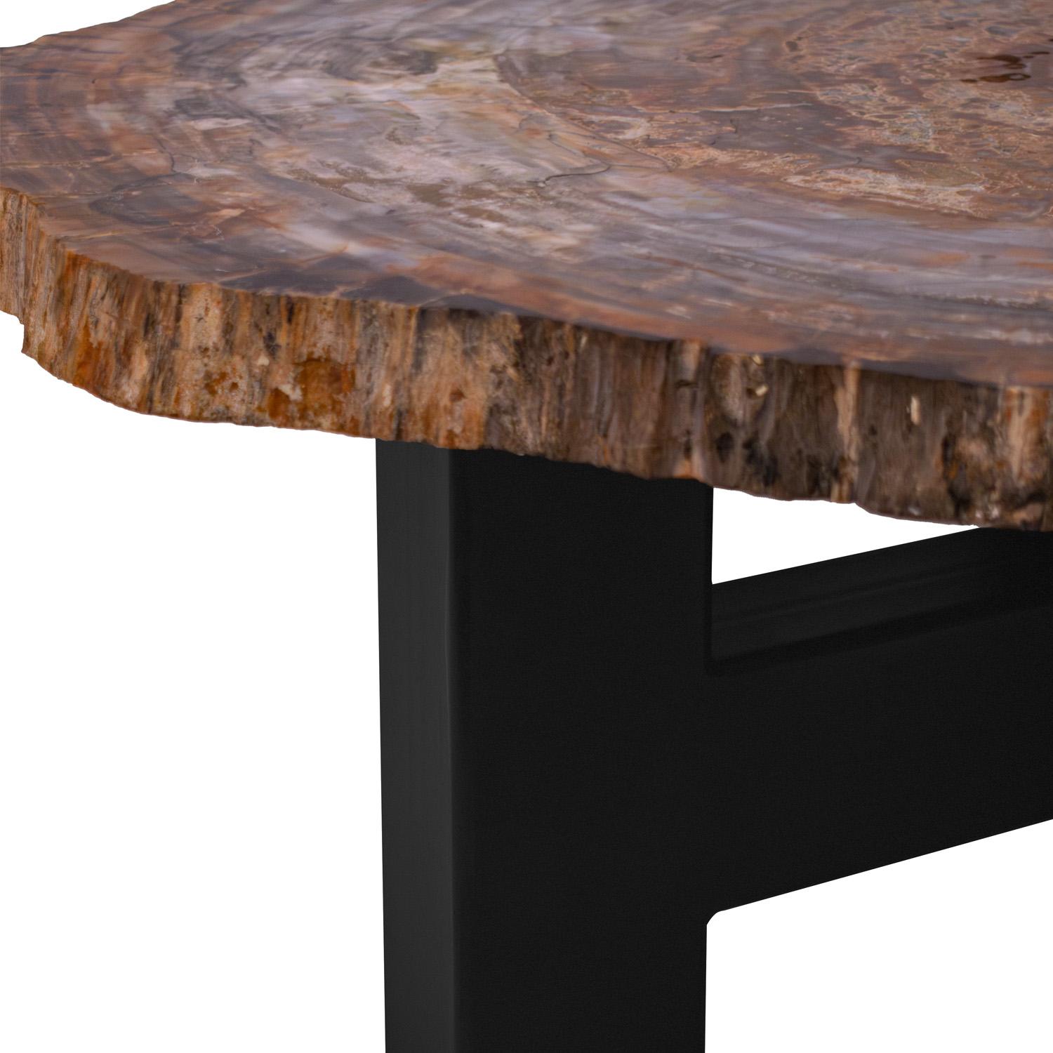 Ado Chale Rare and Iconic Fossilized Wood Top Table 1960s In Excellent Condition For Sale In New York, NY