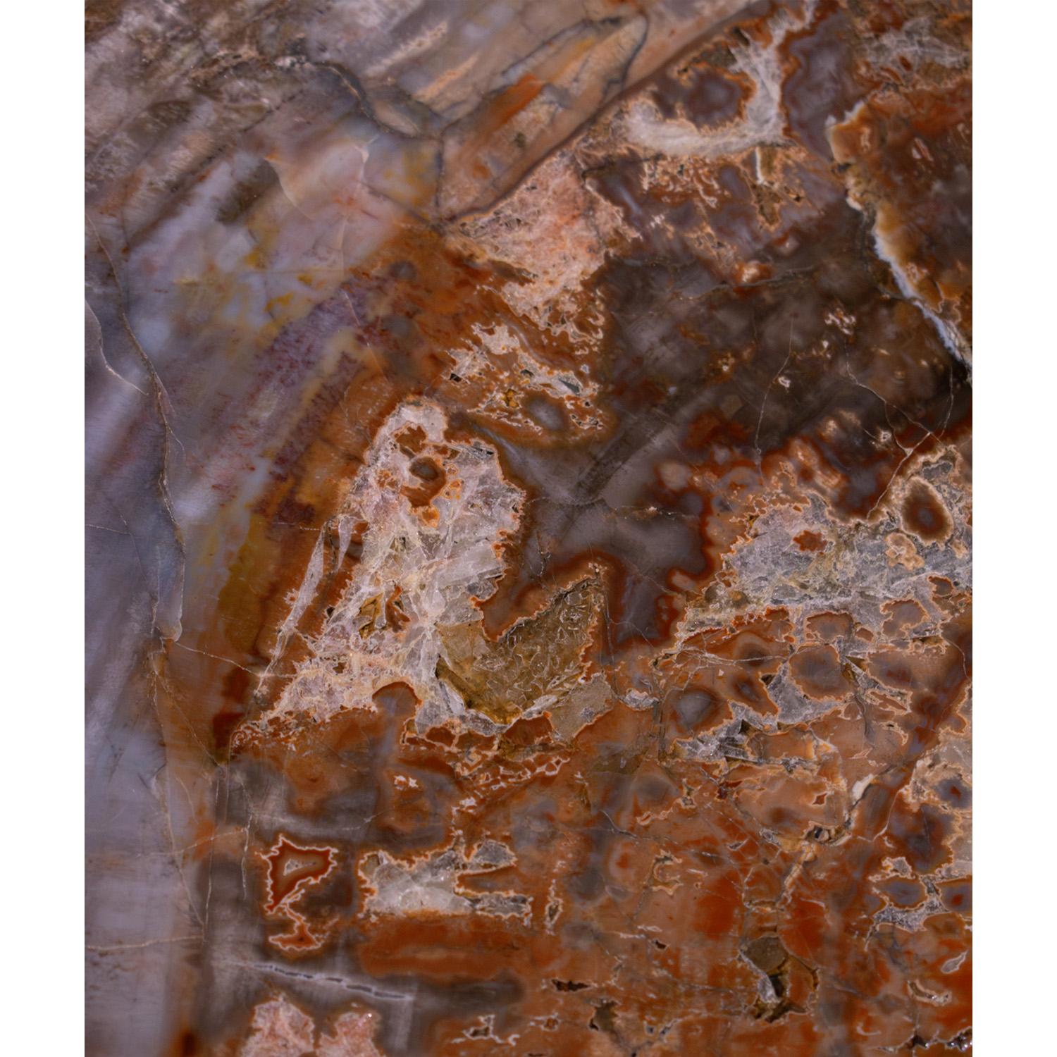 Steel Ado Chale Rare and Iconic Fossilized Wood Top Table 1960s For Sale