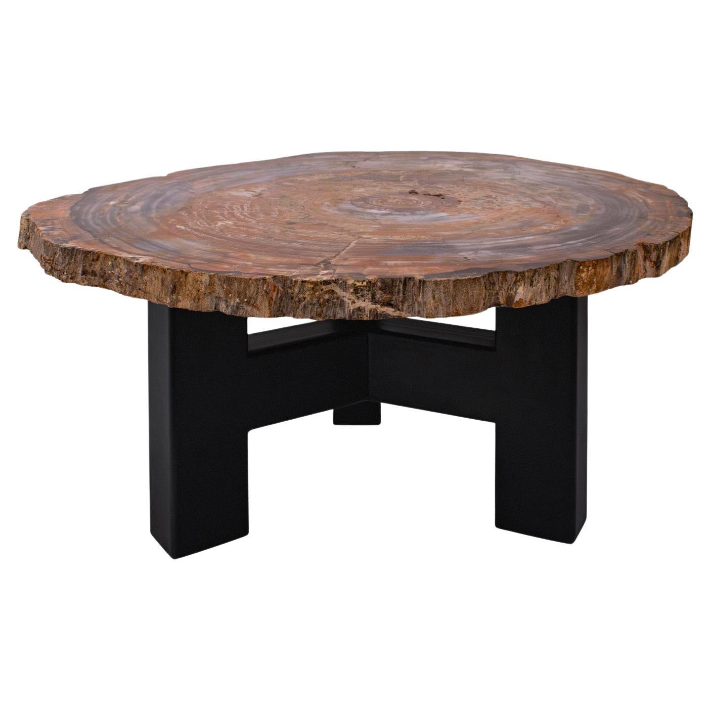 Ado Chale Rare and Iconic Fossilized Wood Top Table 1960s