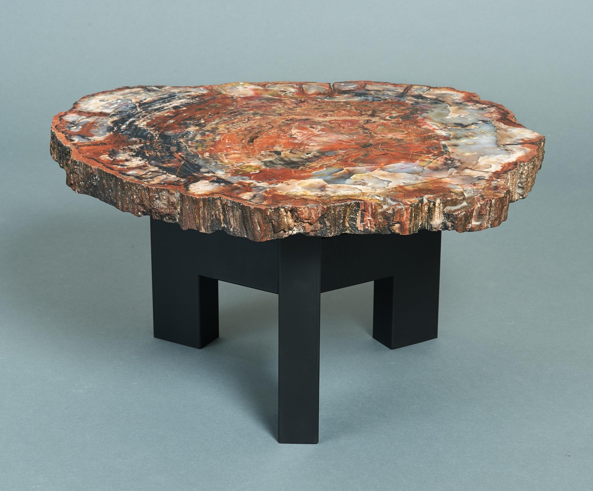 Mid-Century Modern Ado Chale Rare Coffee Table in Petrified Wood and Steel, Belgium, 1968 For Sale