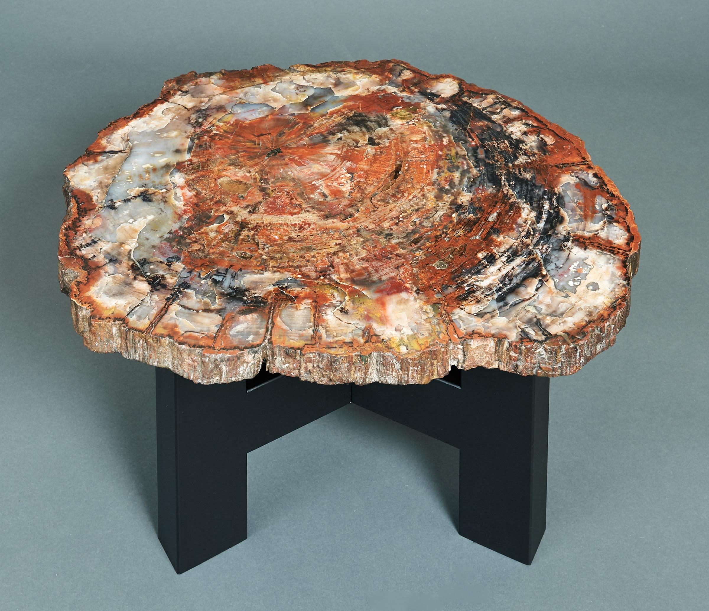 Belgian Ado Chale Rare Coffee Table in Petrified Wood and Steel, Belgium, 1968 For Sale