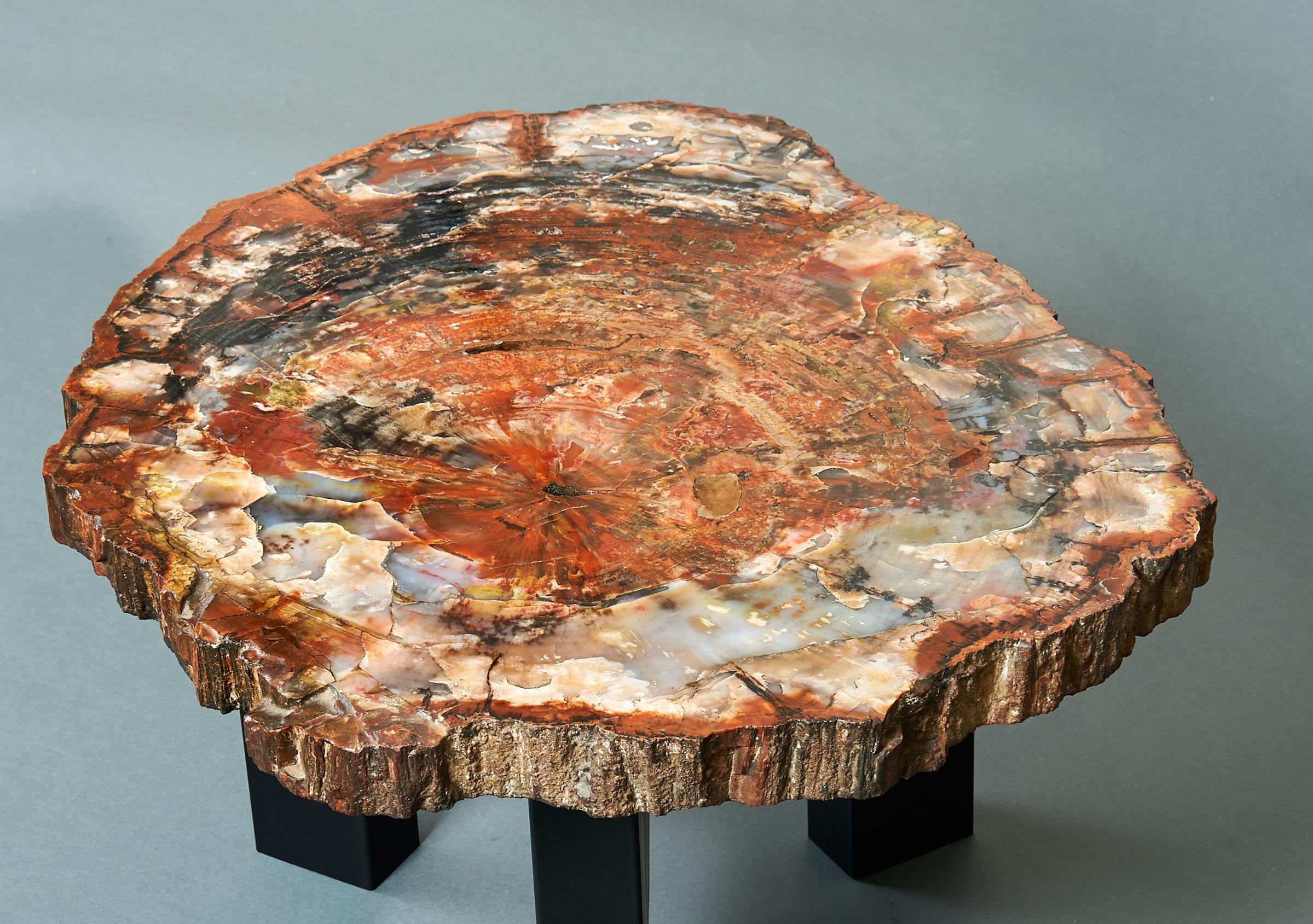 Enameled Ado Chale Rare Coffee Table in Petrified Wood and Steel, Belgium, 1968 For Sale