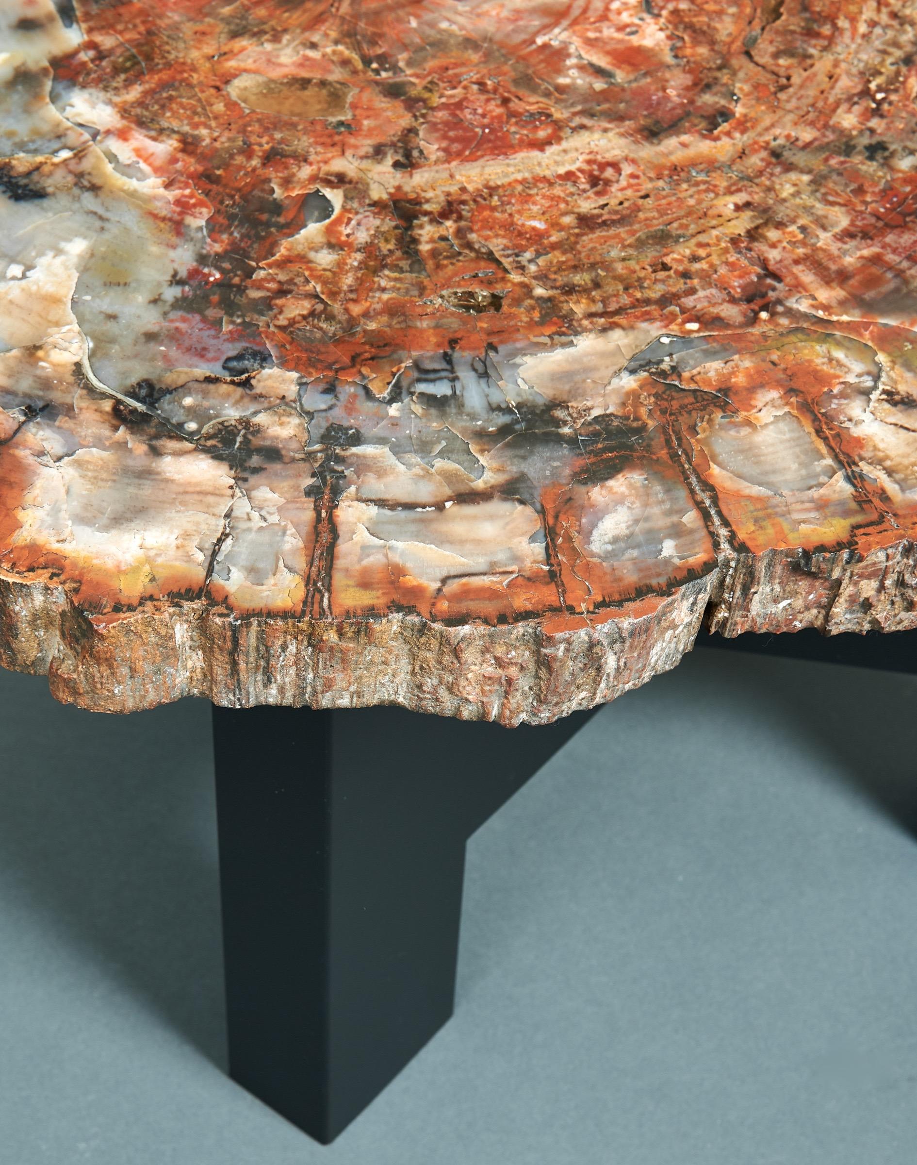 Mid-20th Century Ado Chale Rare Coffee Table in Petrified Wood and Steel, Belgium, 1968 For Sale