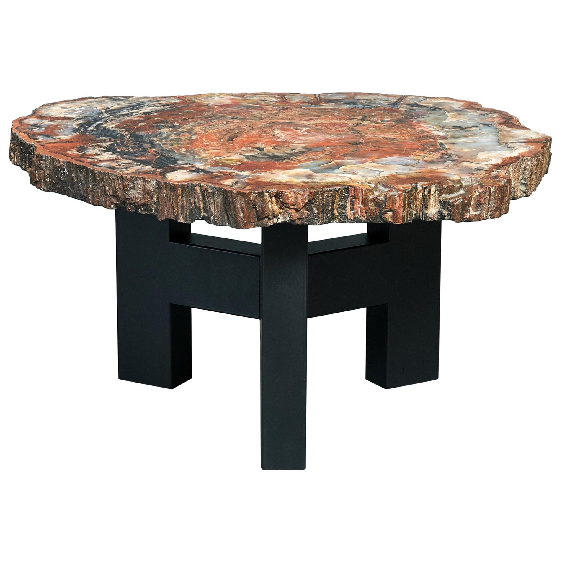 Ado Chale Rare Coffee Table in Petrified Wood and Steel, Belgium, 1968