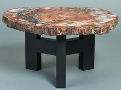 Ado Chale Rare Coffee Table in Petrified Wood and Steel, Belgium, 1968