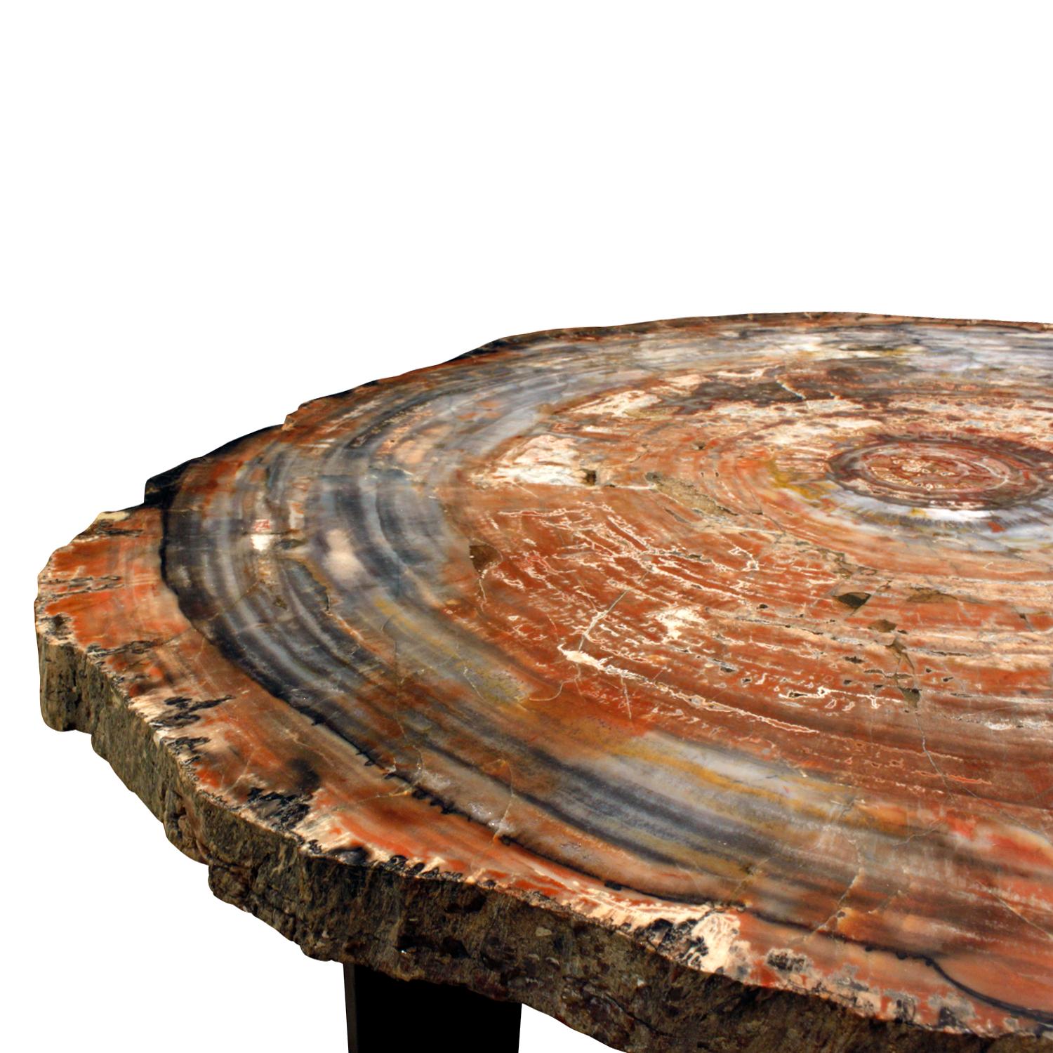 Organic Modern Ado Chale Rare Fossilized Wood Top Table 1960s For Sale