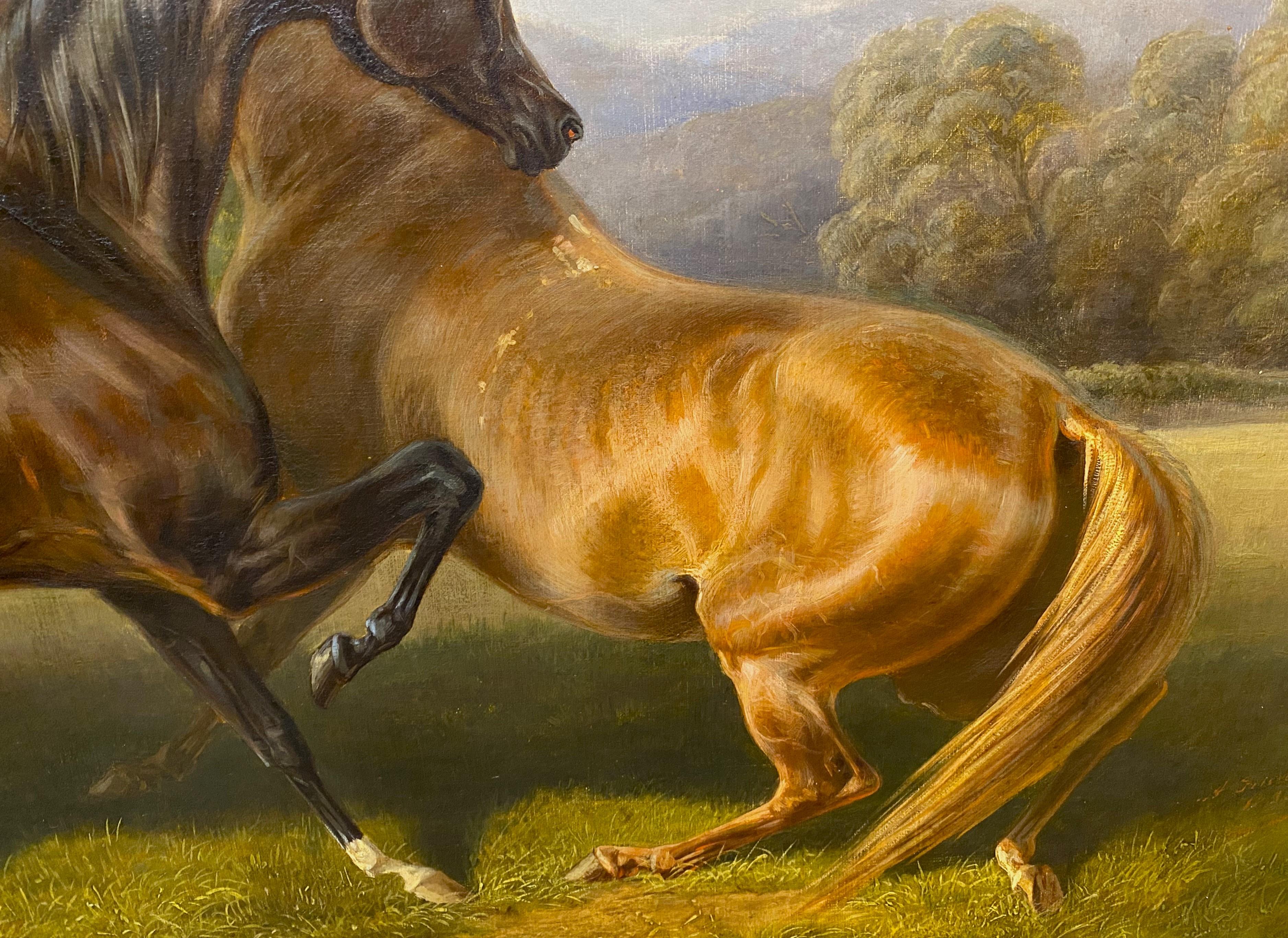 Two Horses 1