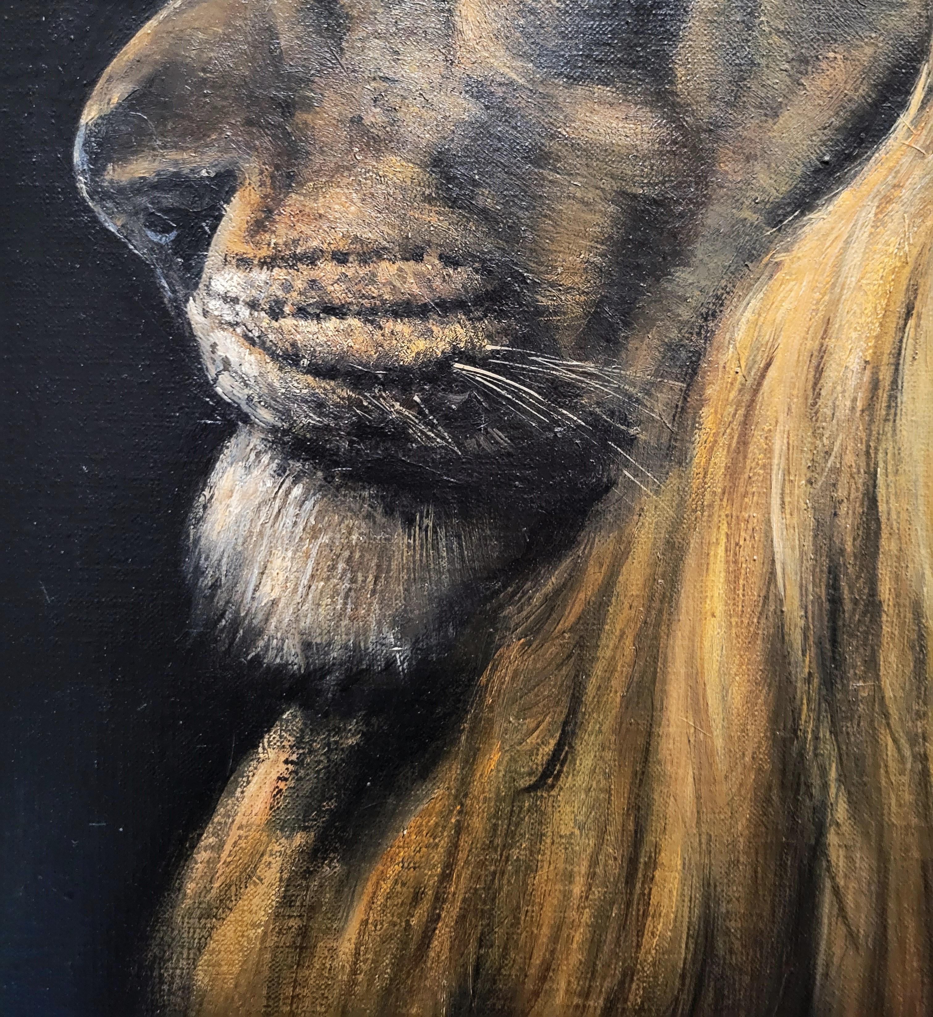 Stoic Lion /// African Wildlife Safari Big Cat Animal Art Portrait Oil Painting For Sale 9
