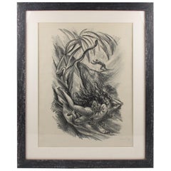 Adolf Uzarski 1919 Charcoal Drawing Lithograph, Tales of the Parrot