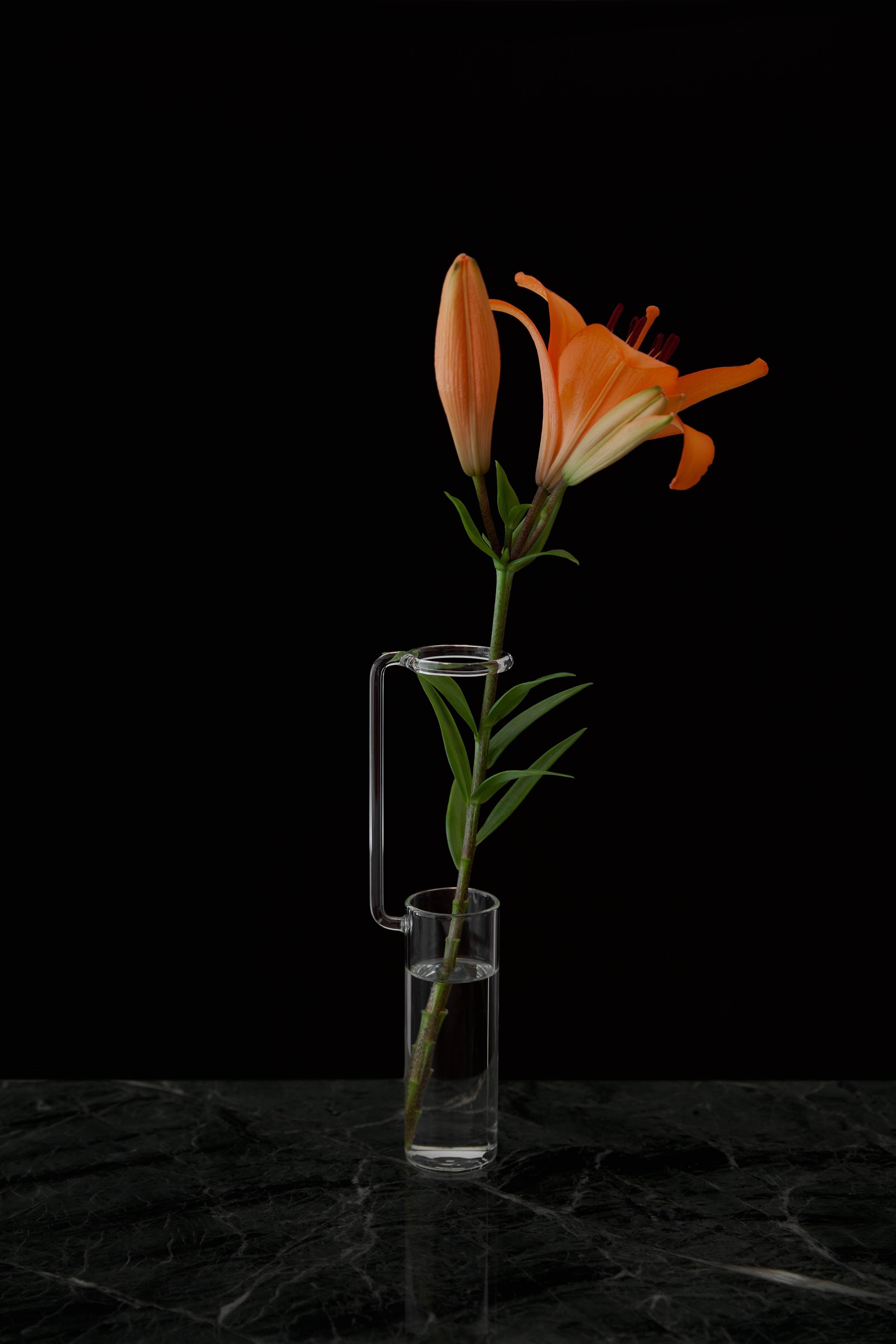Vase designed by Adolfo Abejon

Measures: 63 × 42 × 232 mm (L × W × H). Glass.

Melancholia is a series of handmade glass vases. Inspired by laboratory test tubes, they turn flowers into study and contemplation elements. There are no