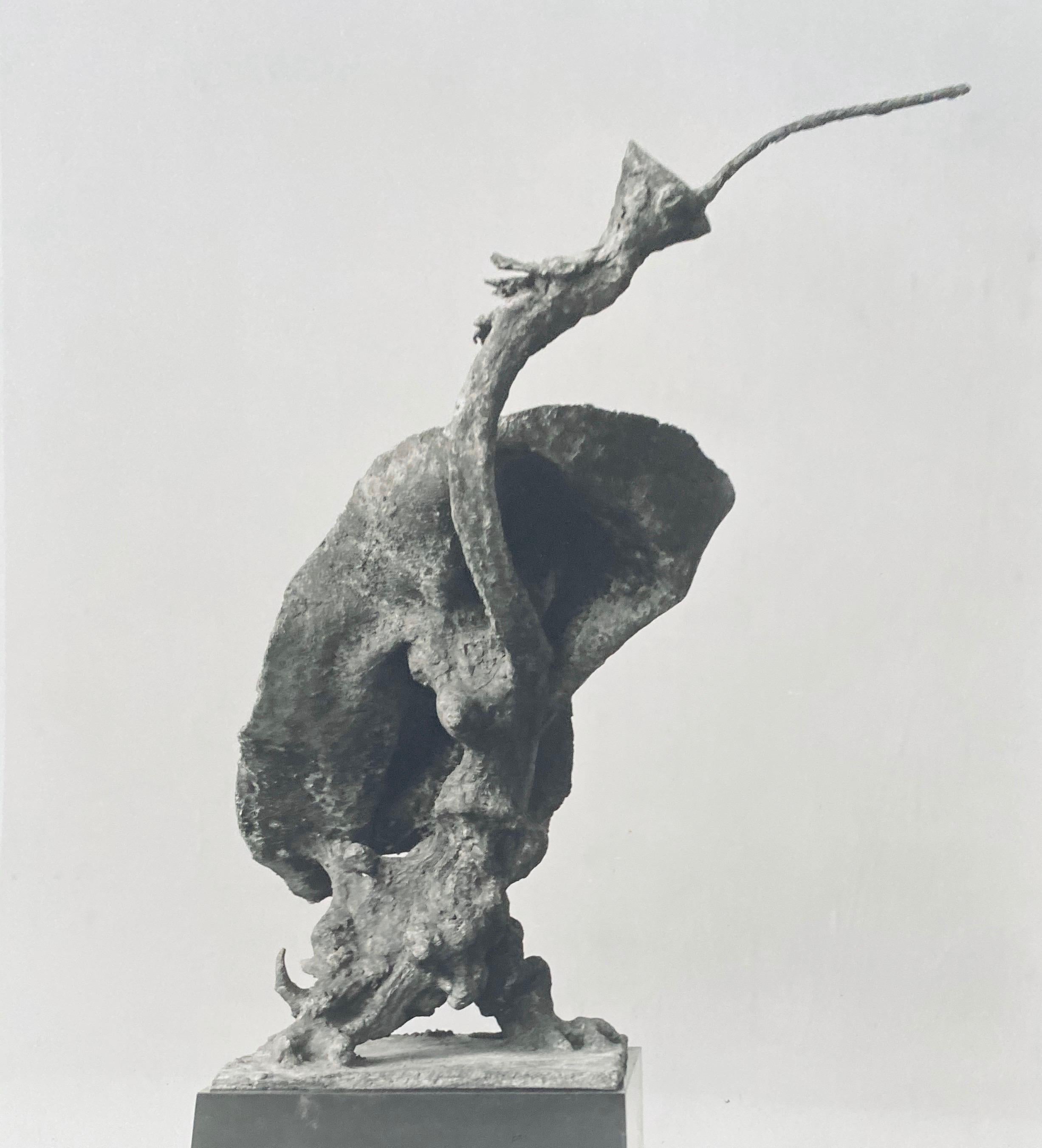 
Adolph Studly, Swiss born American photographer. His work is kept in the Photographic Archive at  The Museum of Modern Art Archives, New York. He was known for his gallery photographs of works by artists represented primarily by the Buchholz