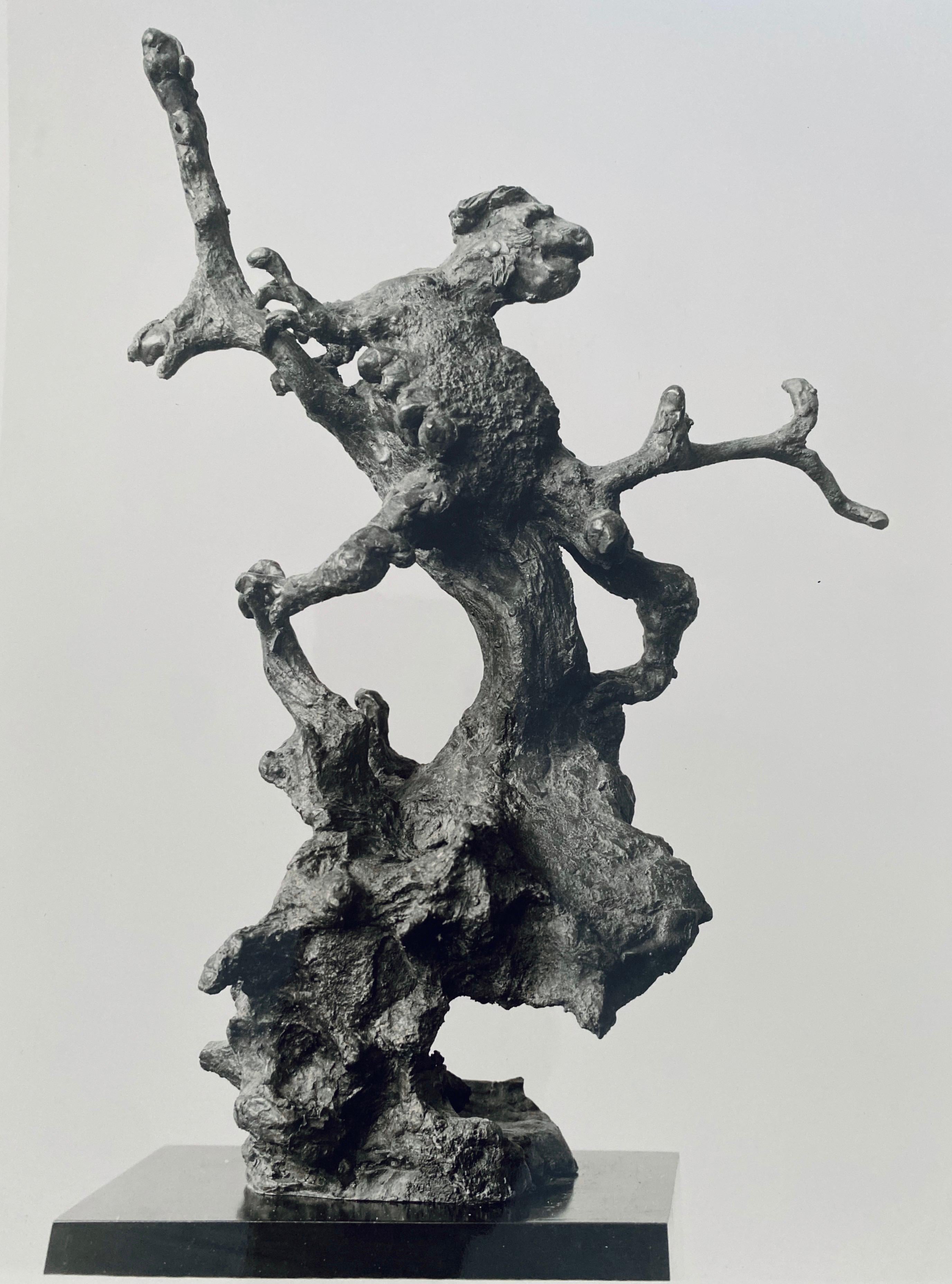 
Adolph Studly, Swiss born American photographer. His work is kept in the Photographic Archive at  The Museum of Modern Art Archives, New York. He was known for his gallery photographs of works by artists represented primarily by the Buchholz