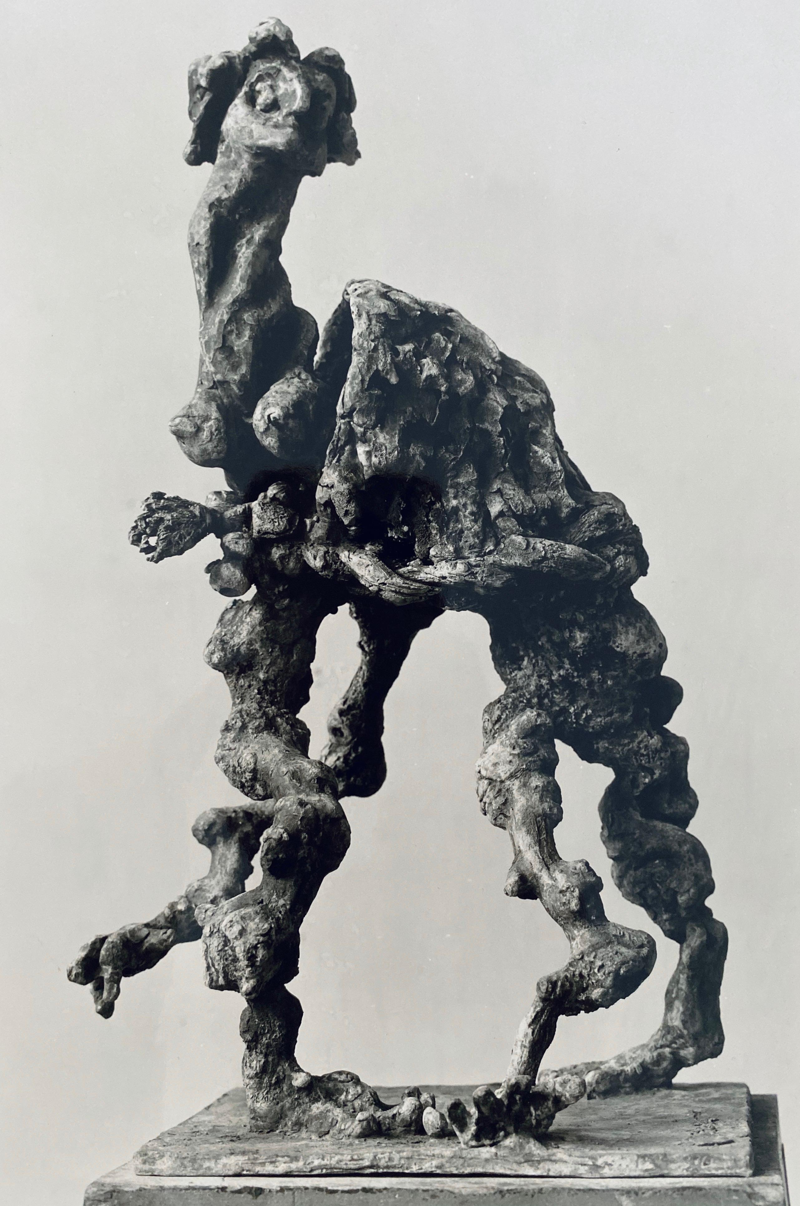 
Adolph Studly, Swiss born American photographer. His work is kept in the Photographic Archive at  The Museum of Modern Art Archives, New York. He was known for his gallery photographs of works by artists represented primarily by the Buchholz