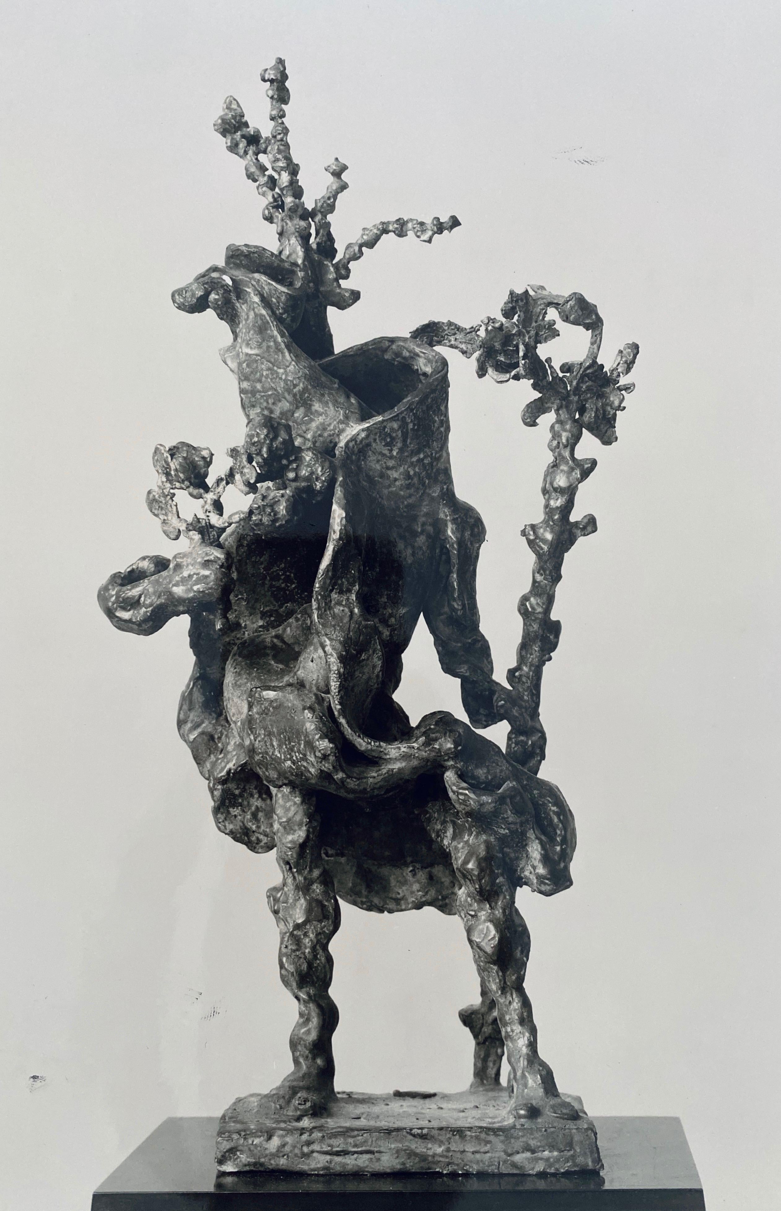 Photographie vintage gélatino-argentique de Jacques Lipchitz, sculpture en bronze signée - Argent Black and White Photograph par Adolph Studly