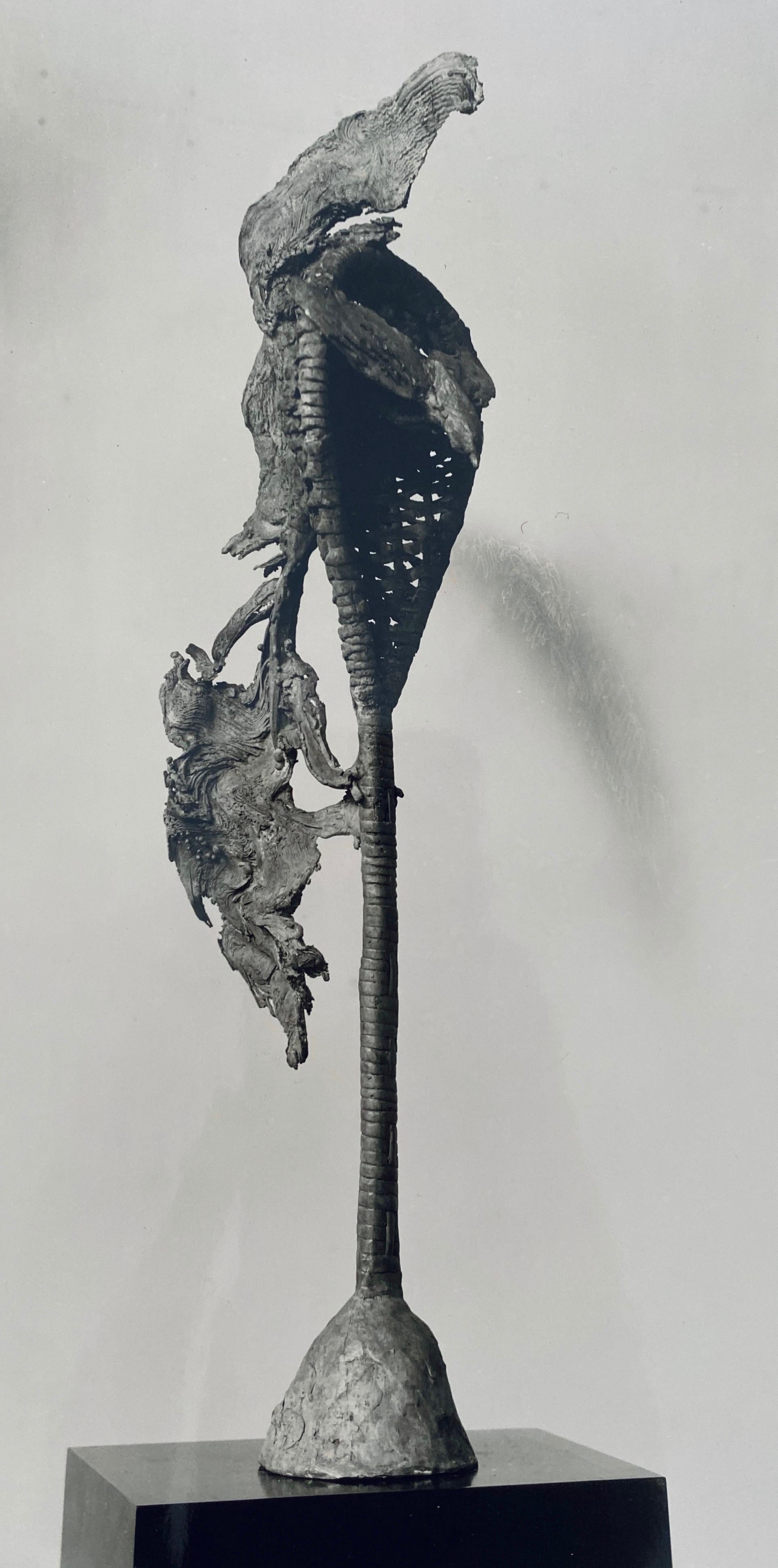 
Adolph Studly, Swiss born American photographer. His work is kept in the Photographic Archive at  The Museum of Modern Art Archives, New York. He was known for his gallery photographs of works by artists represented primarily by the Buchholz