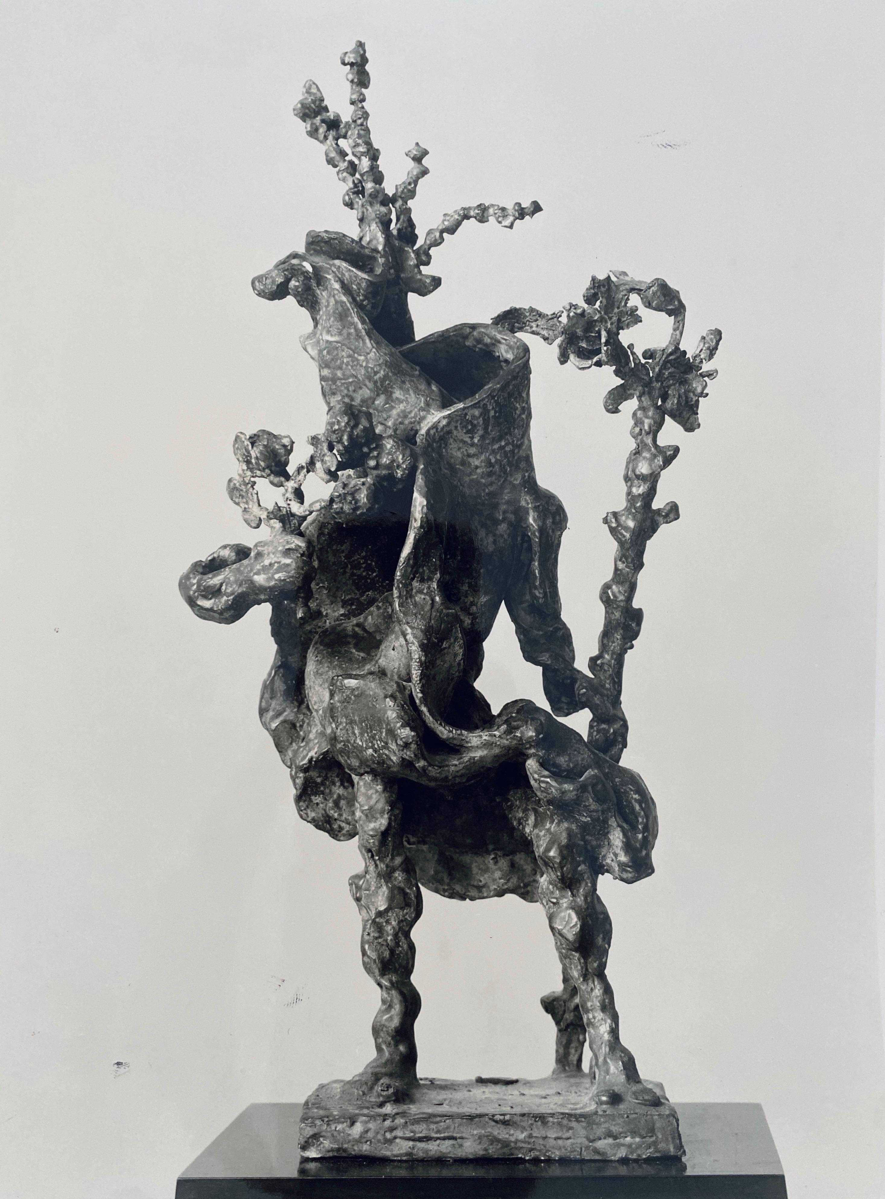 Fotografía vintage en gelatina de plata Jacques Lipchitz Escultura de bronce Foto firmada