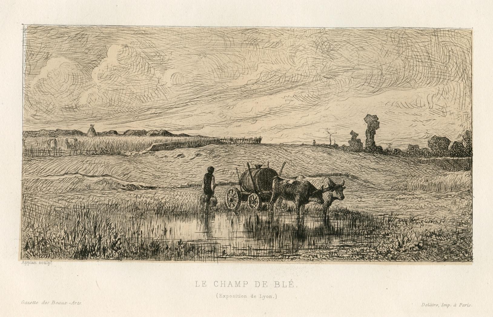 "Le champ de ble" original etching - Print by Adolphe APPIAN