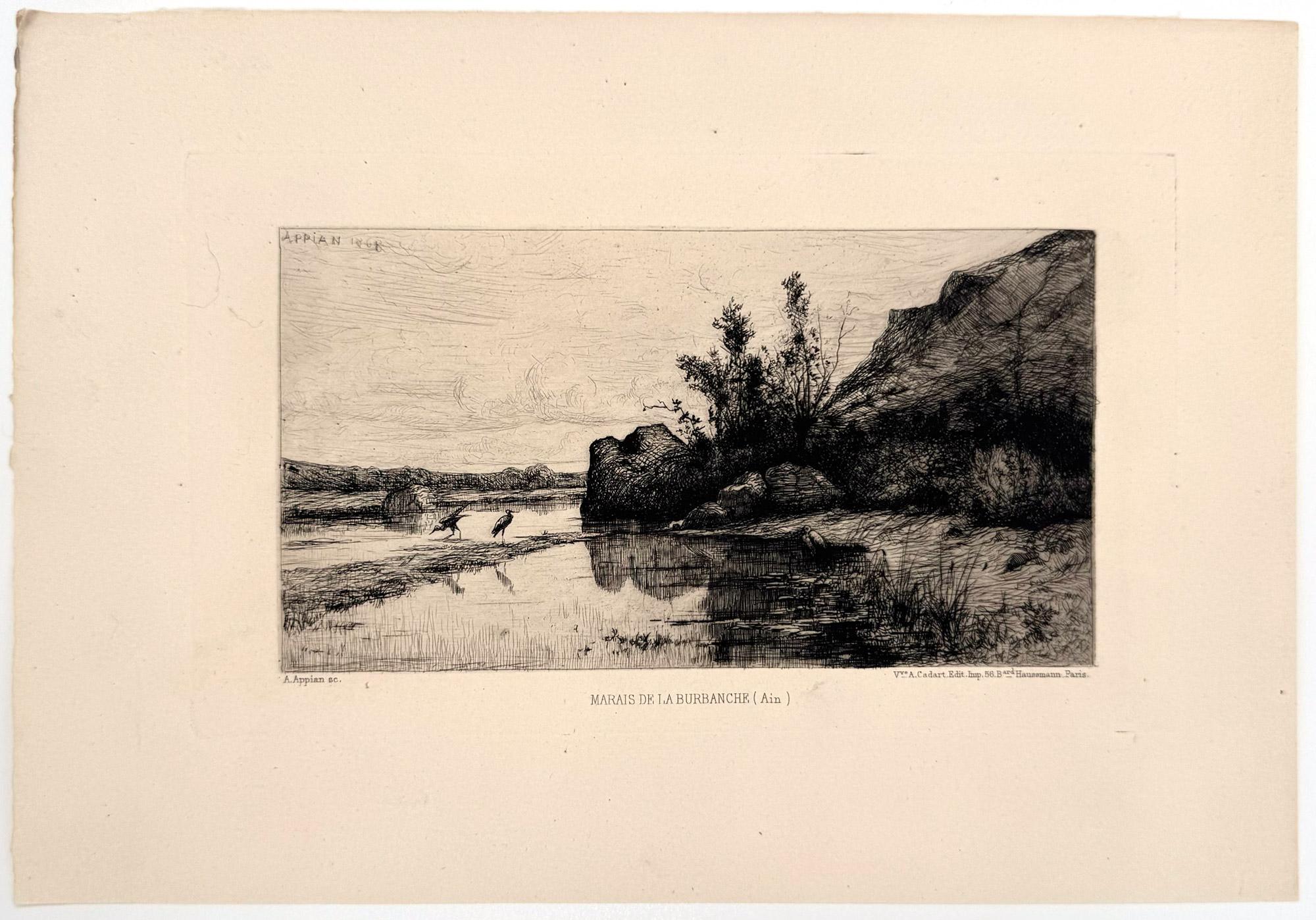 Marais de la Burbanche (Ain) - Print de Adolphe APPIAN