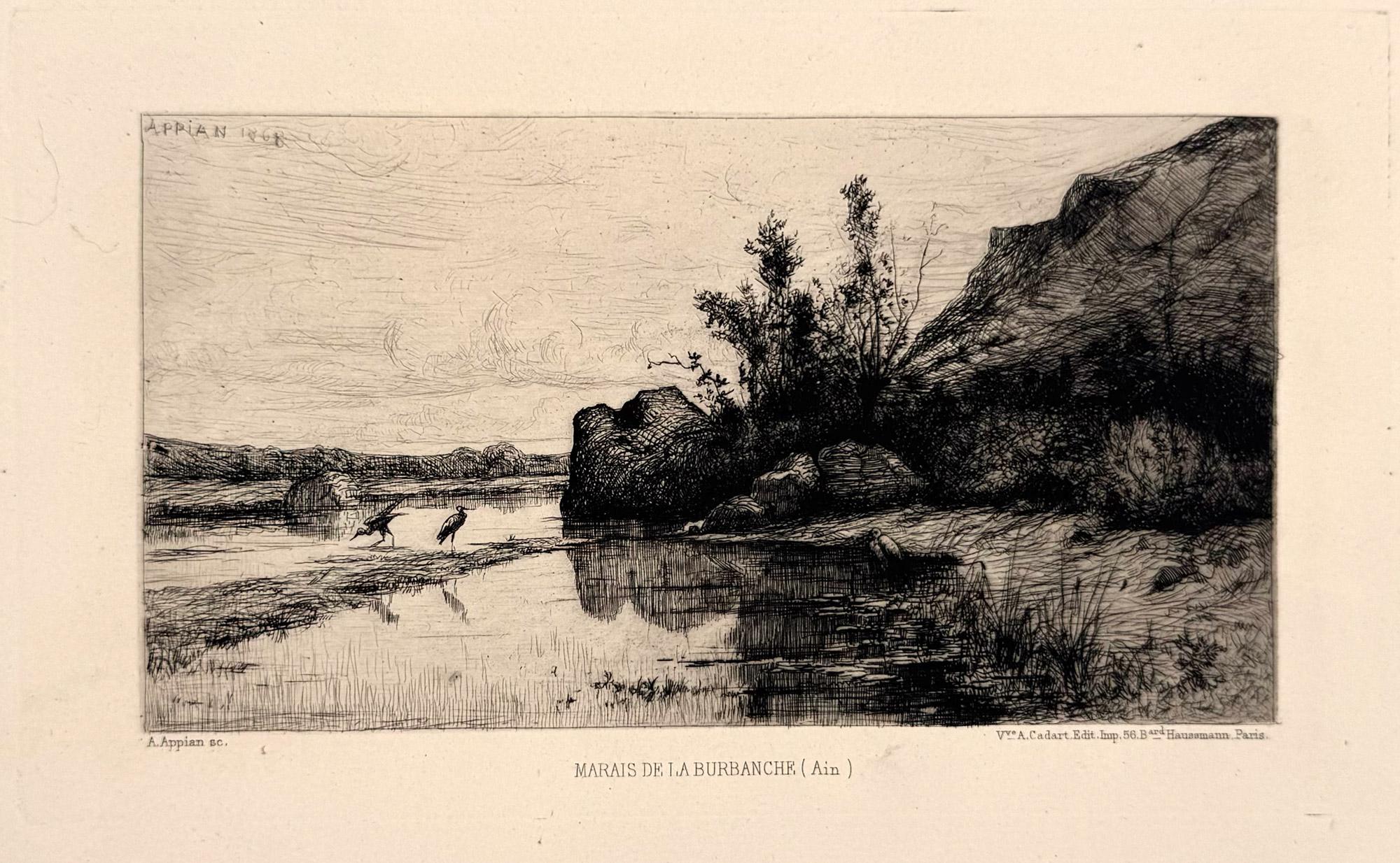 Oiseau Estampes - Figuratif