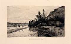 Marais de la Burbanche (Ain)