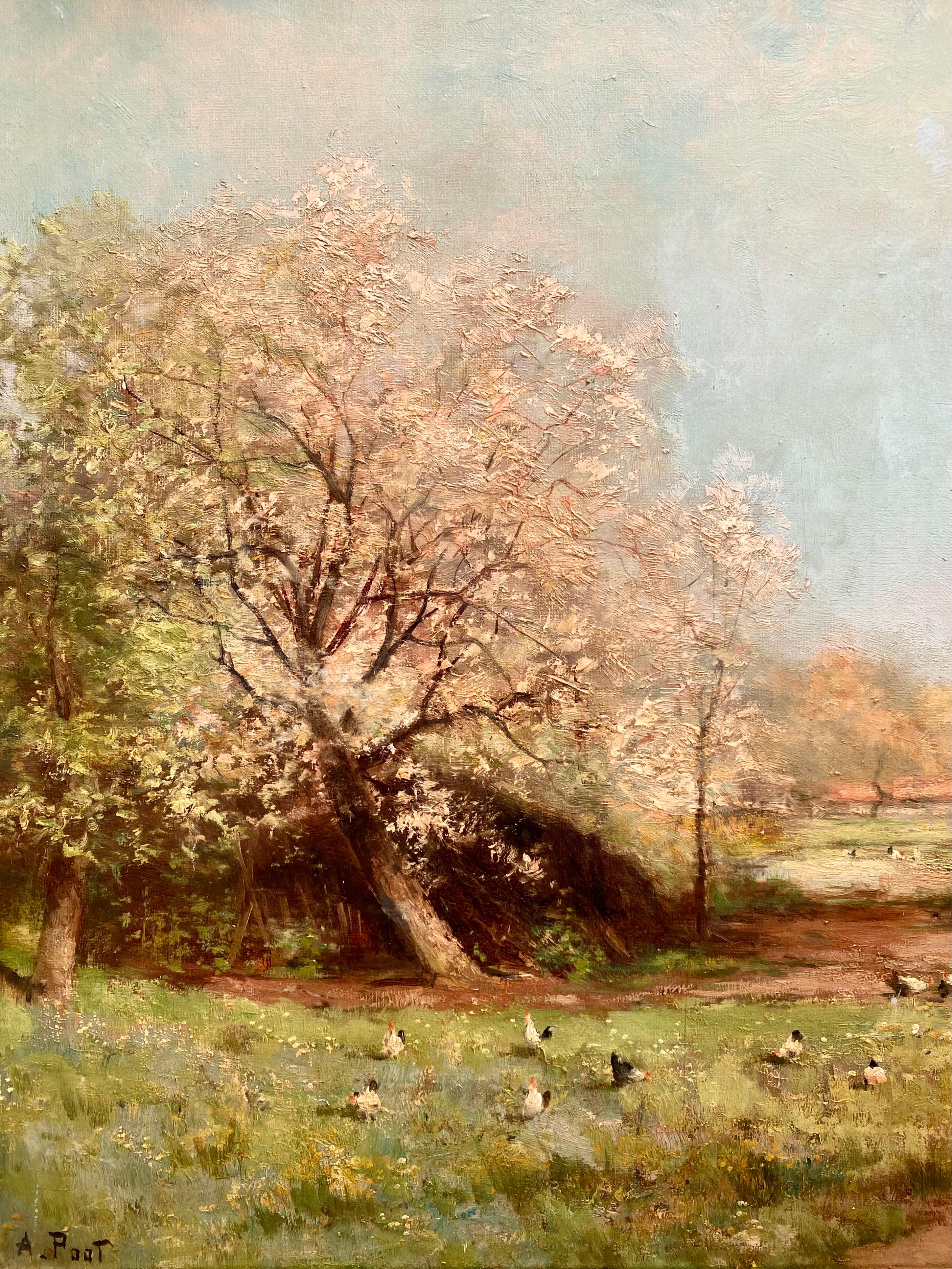 Bauernhaus im Frühling