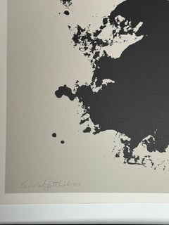 "Senza titolo" (dal Portfolio del volo)