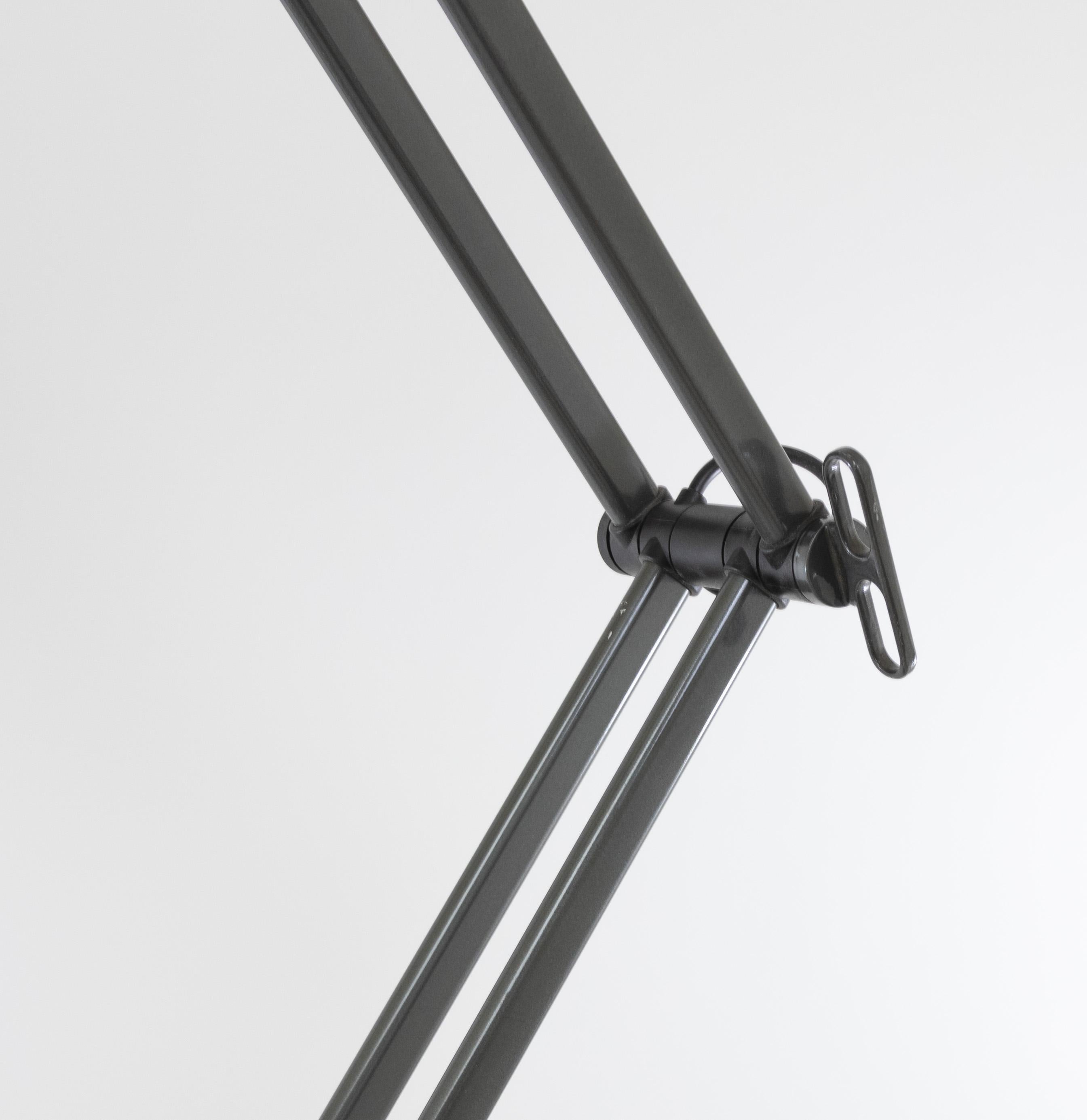 Adone Floor Lamp by C.P. & P.R. Associati for Artemide, 1980s For Sale 1
