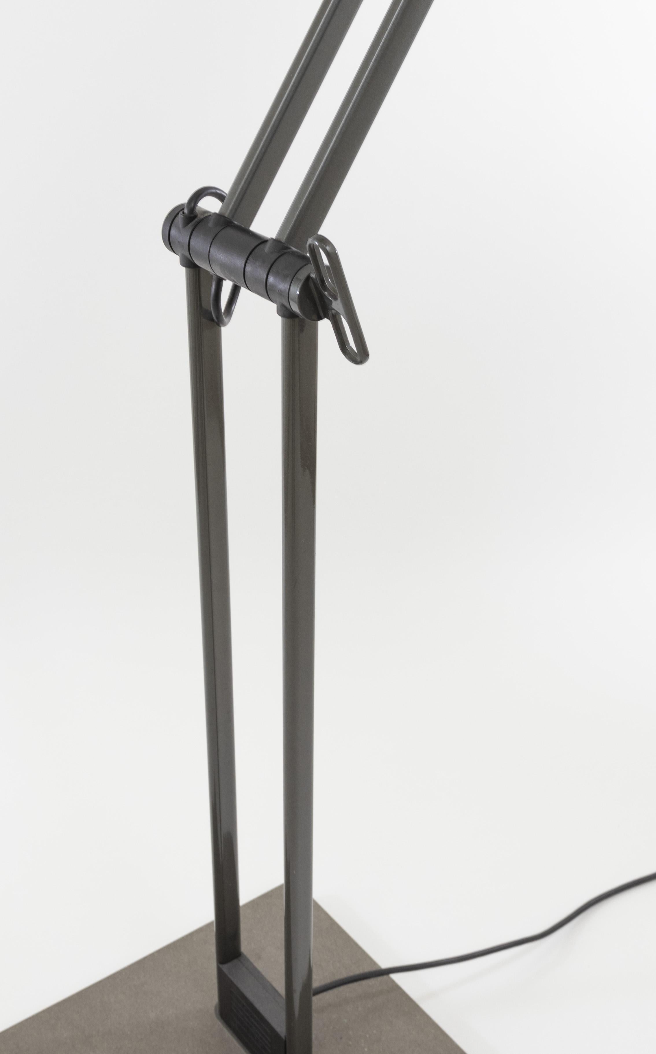 Adone Floor Lamp by C.P. & P.R. Associati for Artemide, 1980s For Sale 2