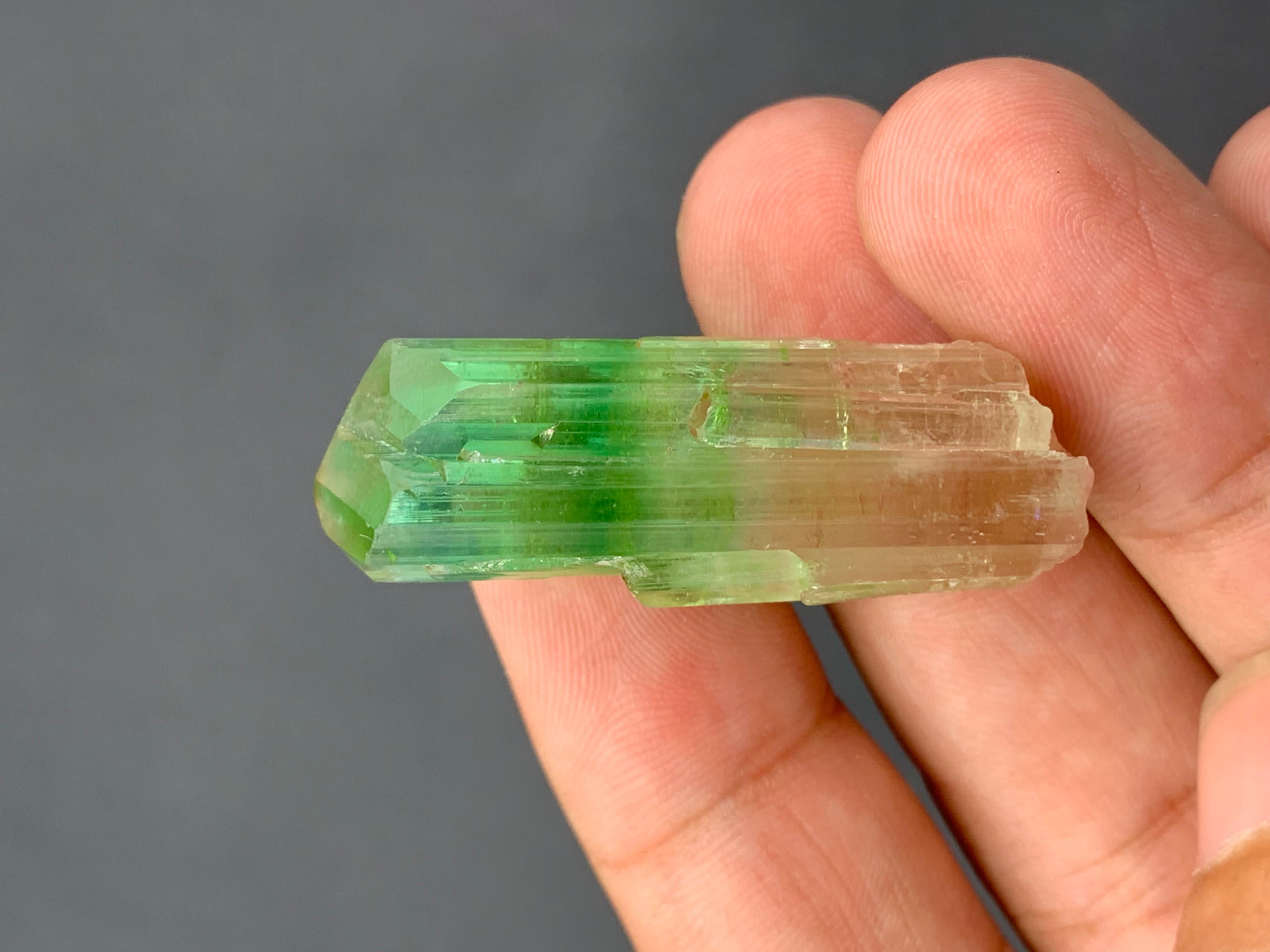 Verschnörkelter 16,77 Gramm natürlicher bifarbiger Turmalinkristall aus Afghanistan im Angebot 3