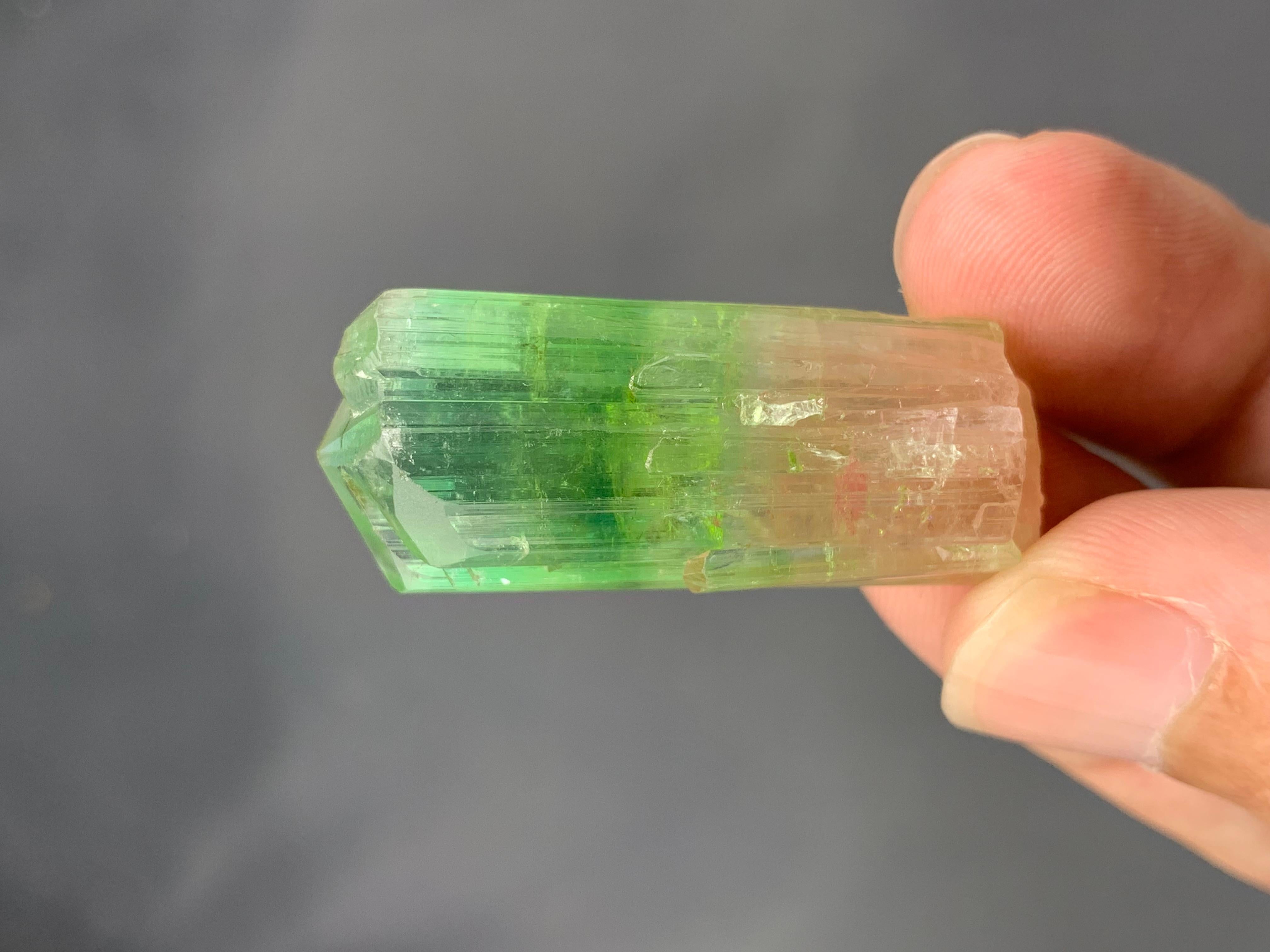 Informationen zum Produkt:

Name der Probe: Zweifarbiger Turmalin-Kristall

Gewicht: 16,77 Gramm

Abmessungen: H: 3,9 x B: 1,6 x T: 1,3 cm

Behandlung: Keine

Herkunft: Paprok-Mine, Provinz Nuristan, Afghanistan 

Beschreibung:

Dieser exquisite