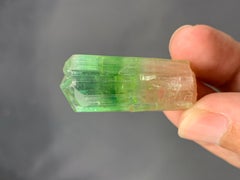 Verschnörkelter 16,77 Gramm natürlicher bifarbiger Turmalinkristall aus Afghanistan