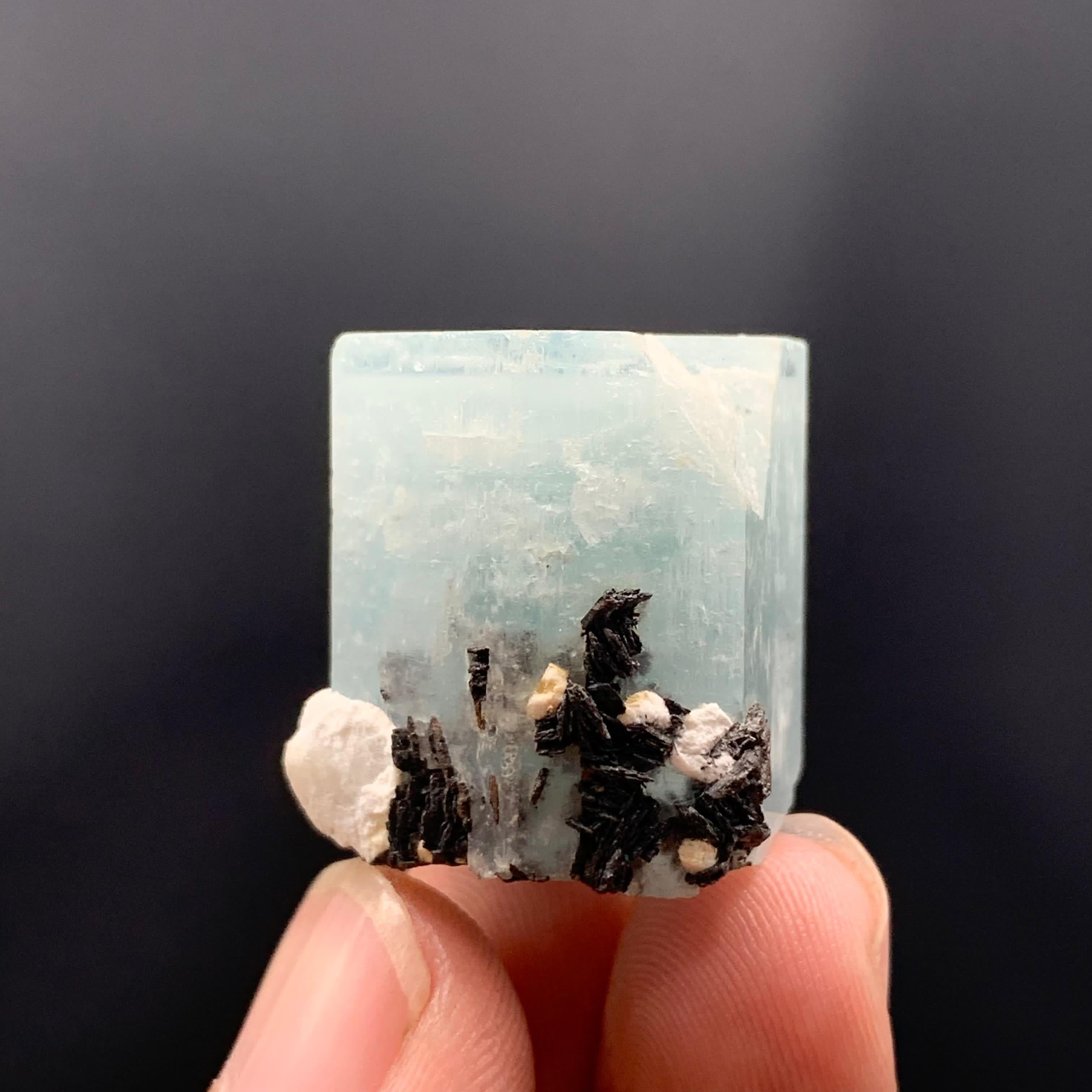 Adorable Aquamarine Crystal With Hematite Rosettes For Sale 4