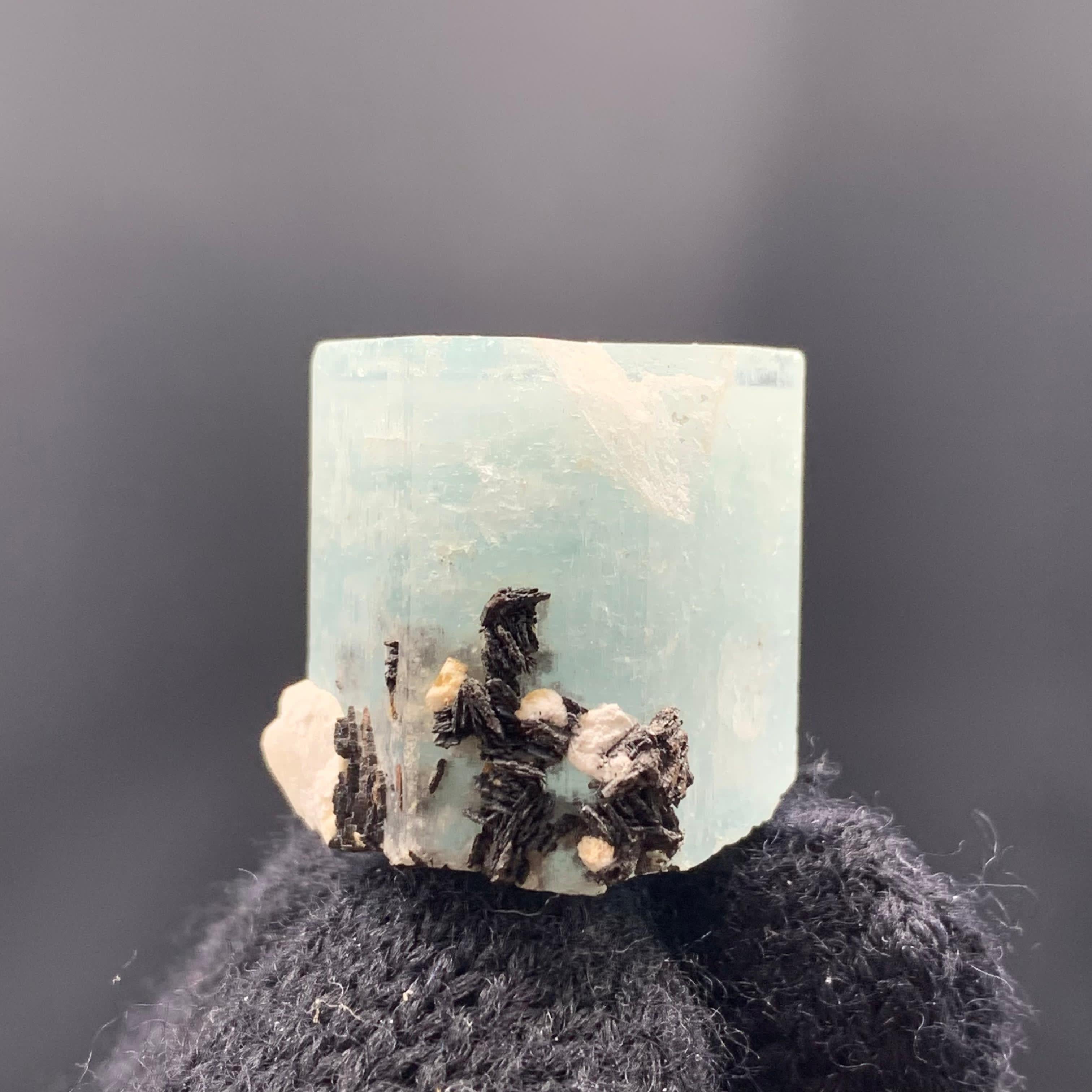 Adorable Aquamarine Crystal With Hematite Rosettes For Sale 5