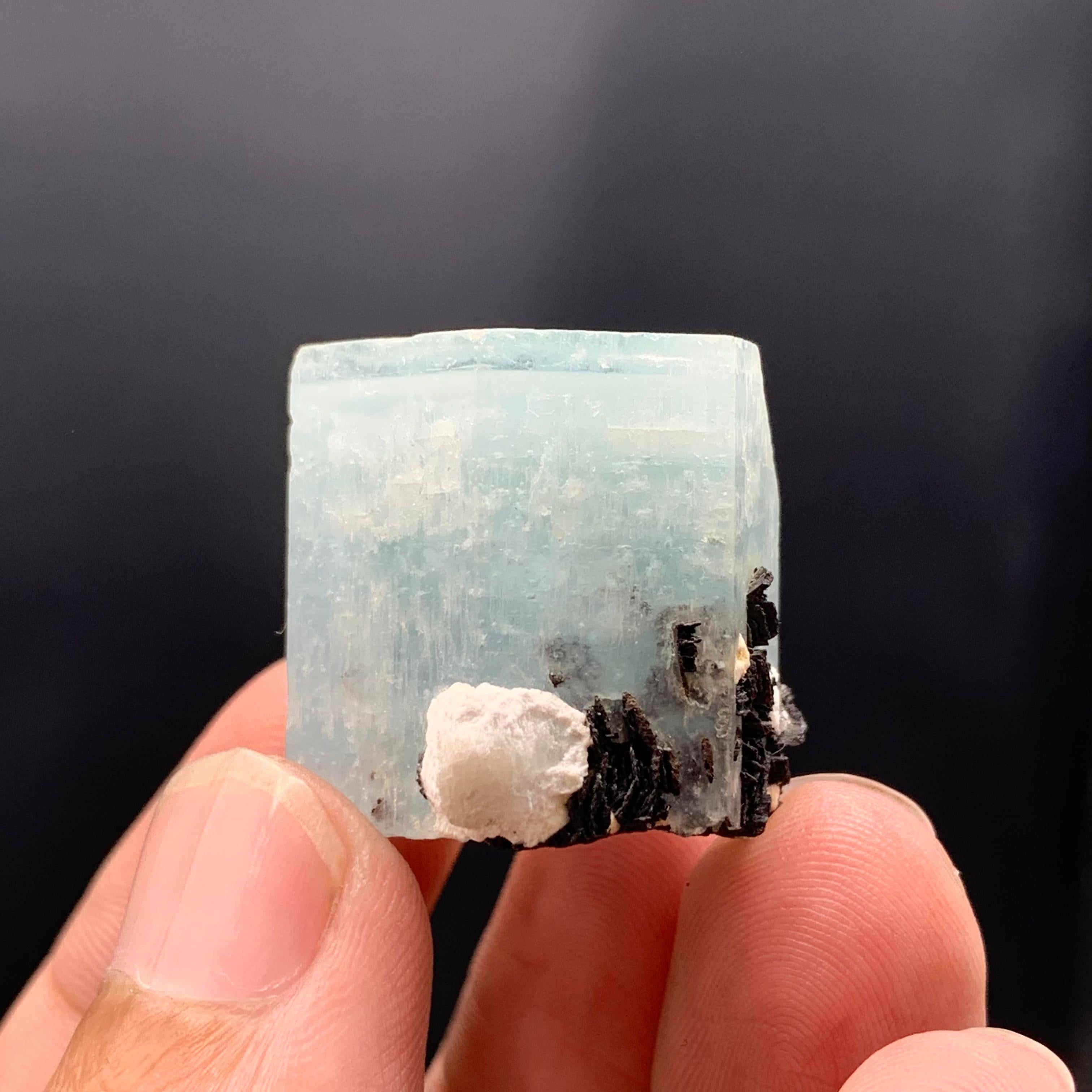 PRODUCT INFORMATION:

Specimen Name: Adorable Aquamarine Crystal With Hematite Rosettes
Weight: 22 grams
Dimension: H: 2.3 x W: 2.4 x D: 2 cm
Treatment: None
Origin: Watalak Mine, Kunnar Province, Afghanistan

DESCRIPTION:

Presenting this cute and