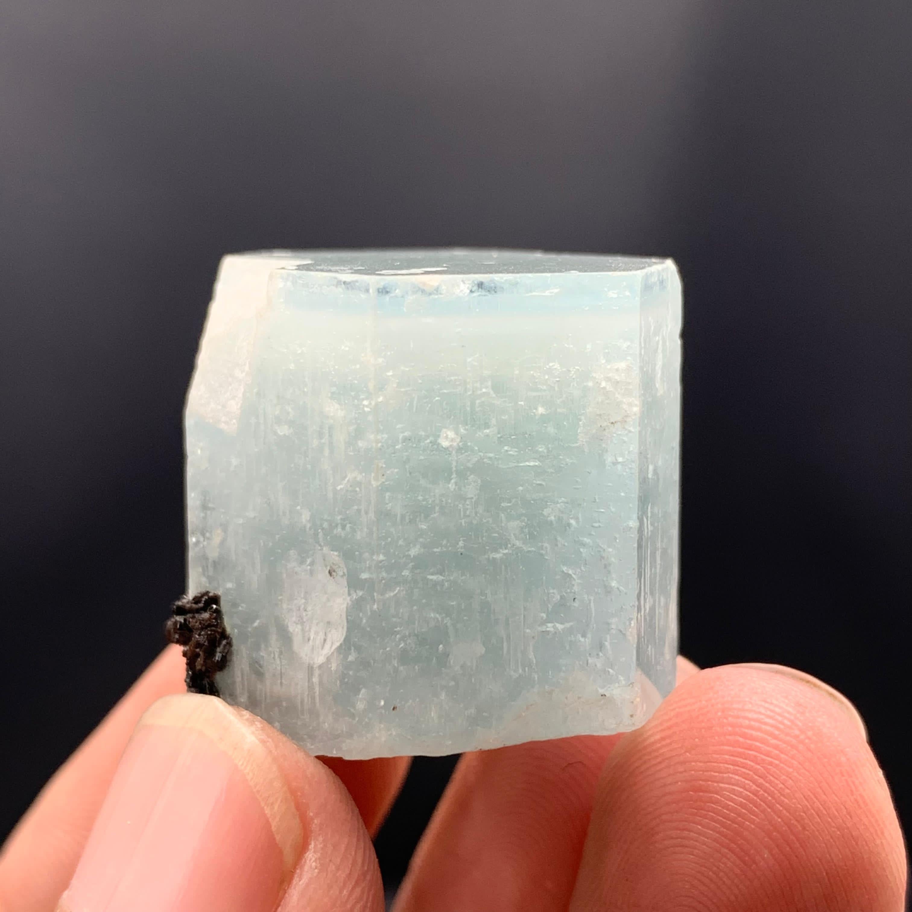 Adam Style Adorable Aquamarine Crystal With Hematite Rosettes For Sale