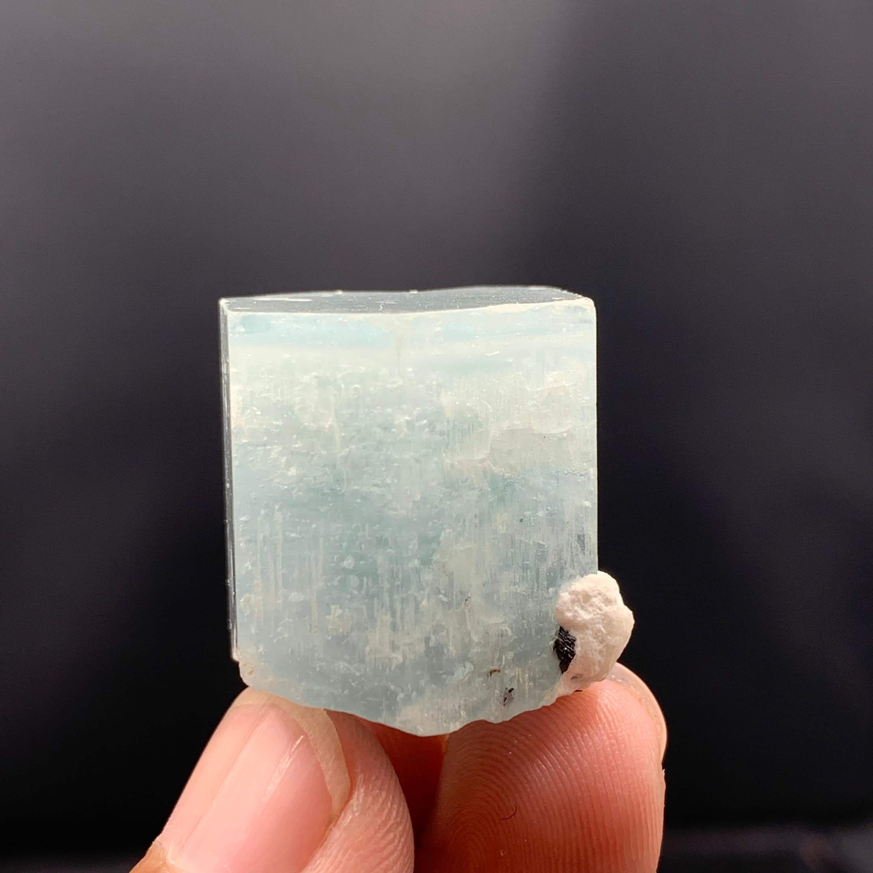 Contemporary Adorable Aquamarine Crystal With Hematite Rosettes For Sale
