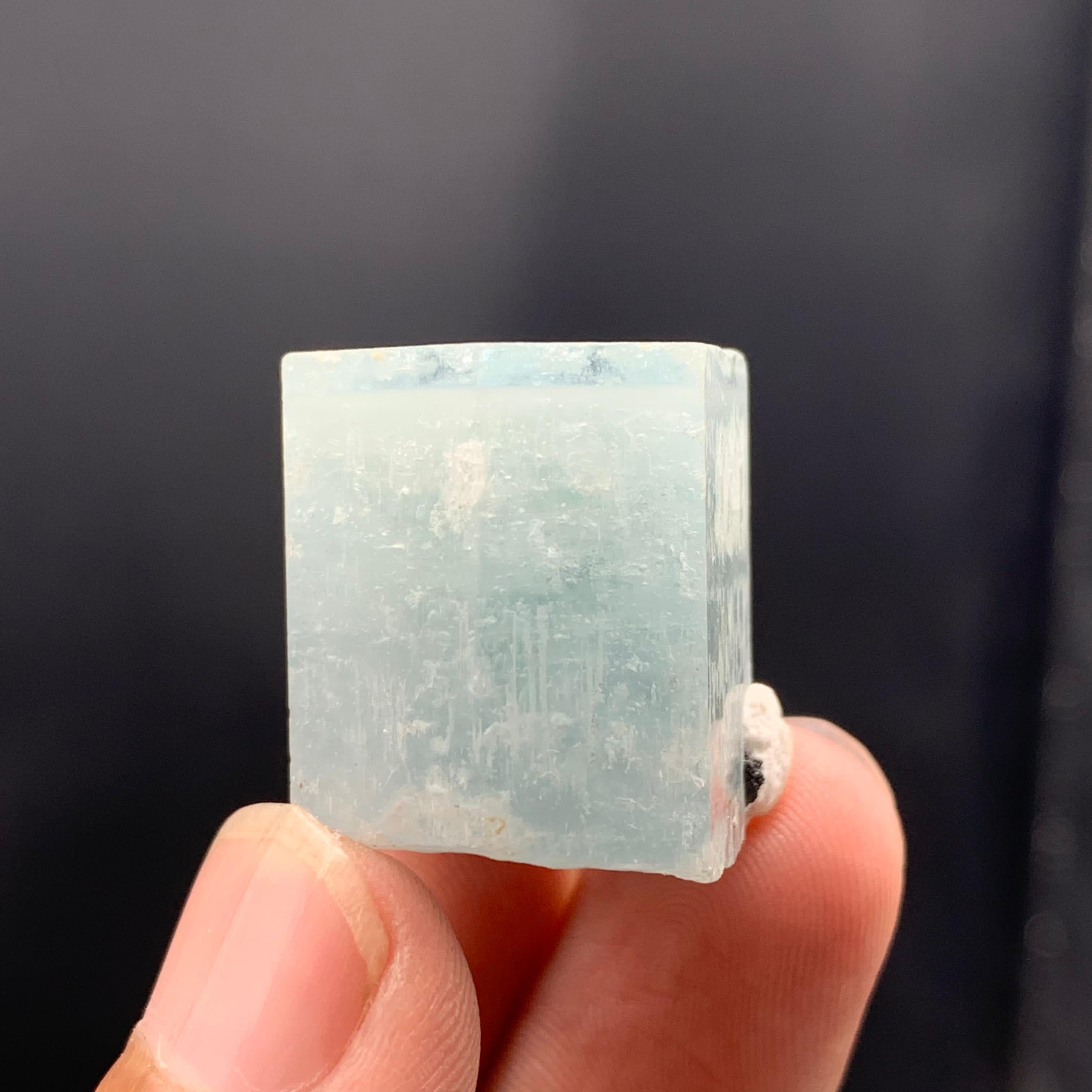 Rock Crystal Adorable Aquamarine Crystal With Hematite Rosettes For Sale