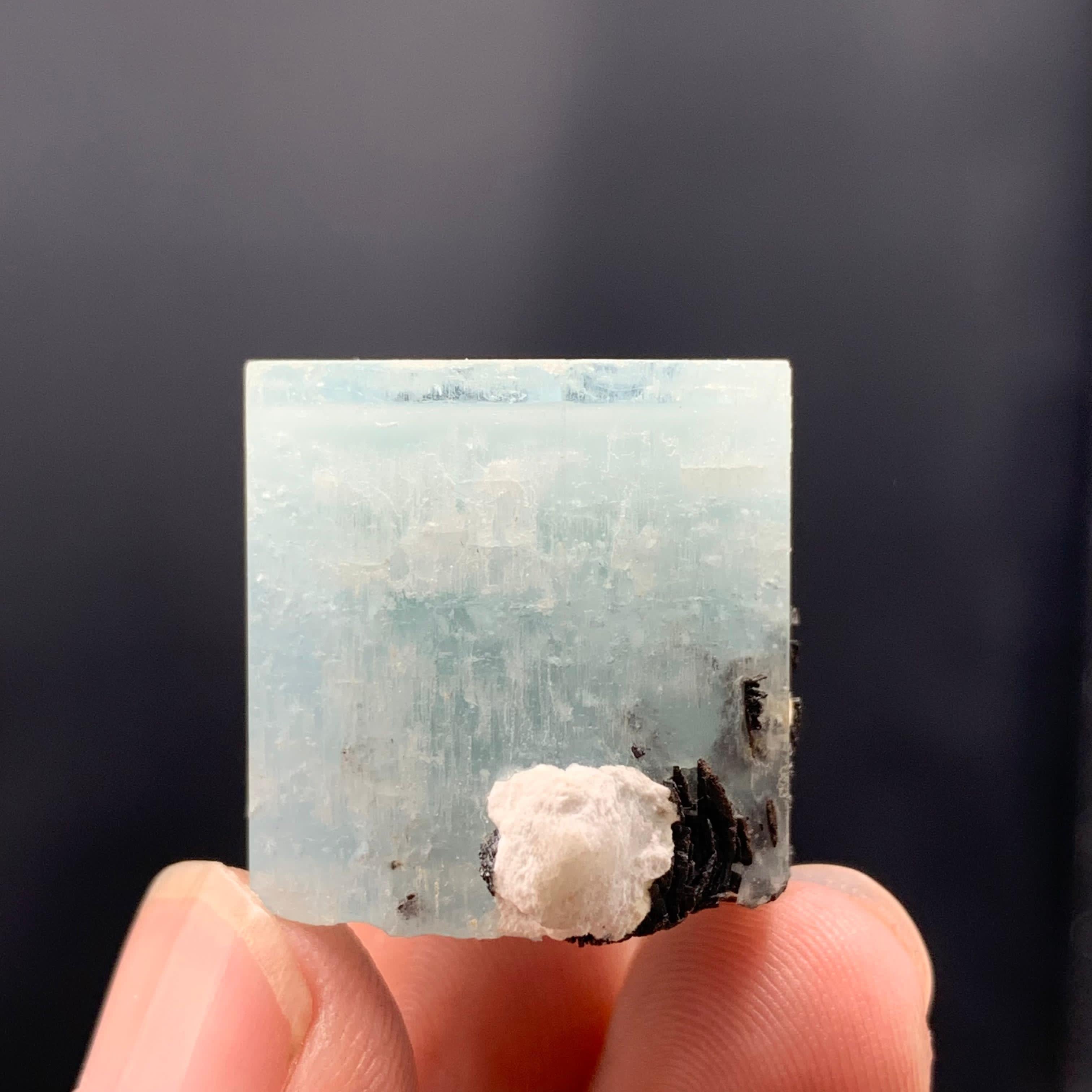 Adorable Aquamarine Crystal With Hematite Rosettes For Sale 1