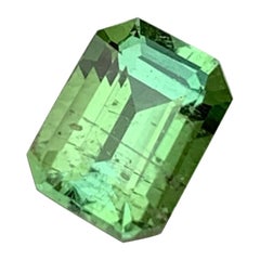 Adorable Mint Green Loose Tourmaline 1.75 Carats Natural Tourmaline Gem Jewelry