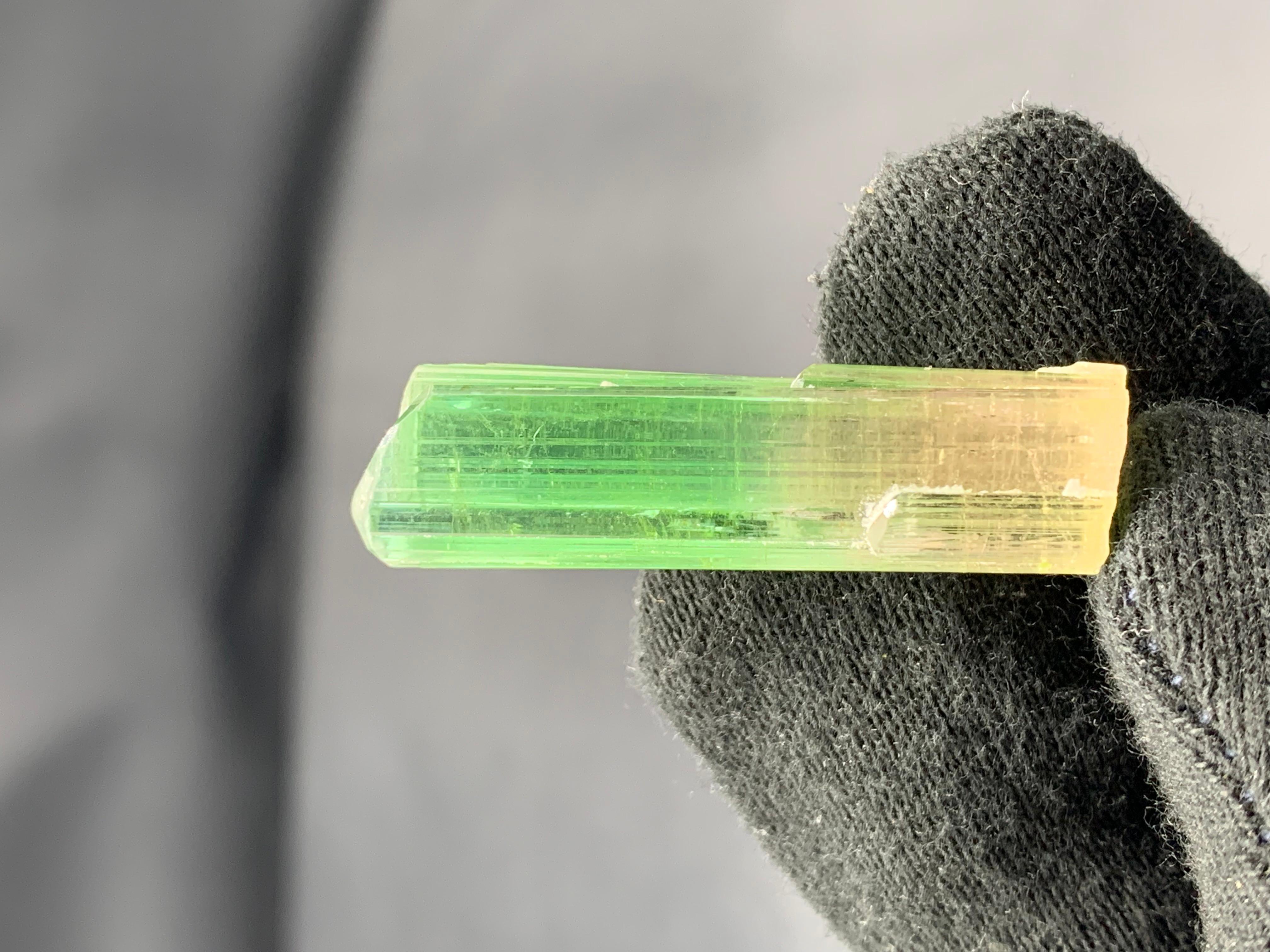 PRODUKTINFORMATION:

Exemplar Typ: Bezaubernder natürlicher zweifarbiger Turmalinkristall
Gewicht: 9,01 Gramm
Abmessungen: H: 4 x B: 1.1 x T: 1 Cm 
Herkunft: Paprook-Mine, Provinz Nuristan,
Afghanistan
Behandlung: