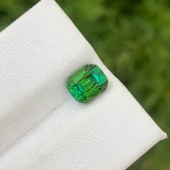 Adorable Natural Green Tourmaline Stone 1.55 Cts Loose Tourmaline for Jewelry