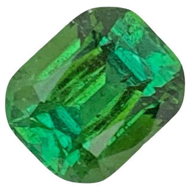 Adorable Natural Green Tourmaline Stone 1.55 Cts Loose Tourmaline for Jewelry For Sale