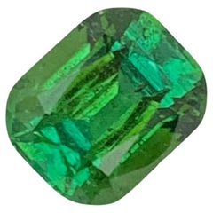 Adorable tourmaline verte naturelle non sertie 1,55 carat pour bijoux