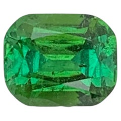 Adorable tourmaline verte naturelle non sertie 1,55 carat pour bijoux