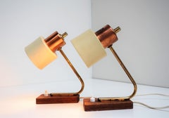 Adorable Pair of Stilnovo Table Lamp with Teak Base, Danish Design from the 1950