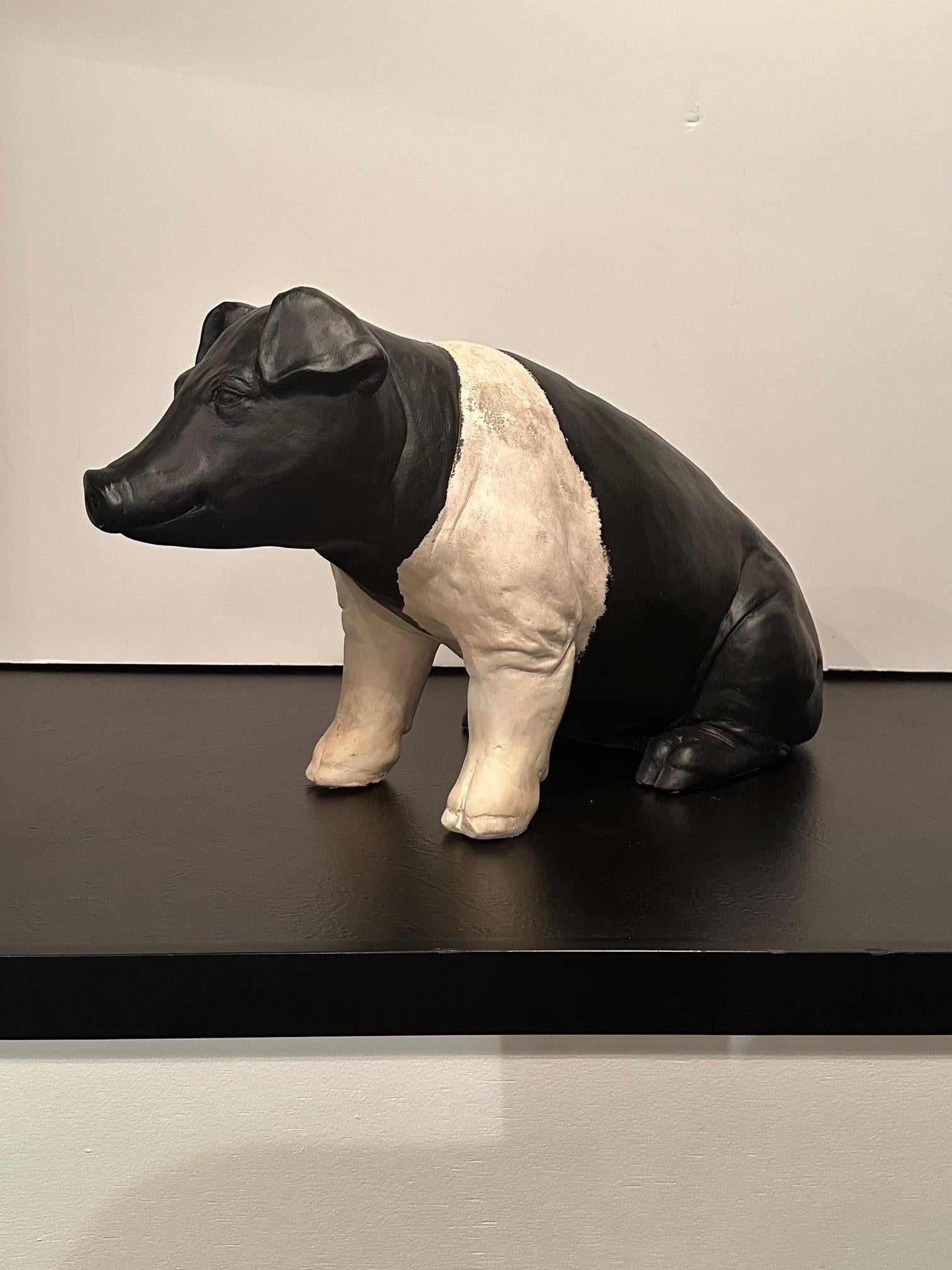 American Adorable Plaster Black & White Pig Sculpture from Butcher Shop For Sale